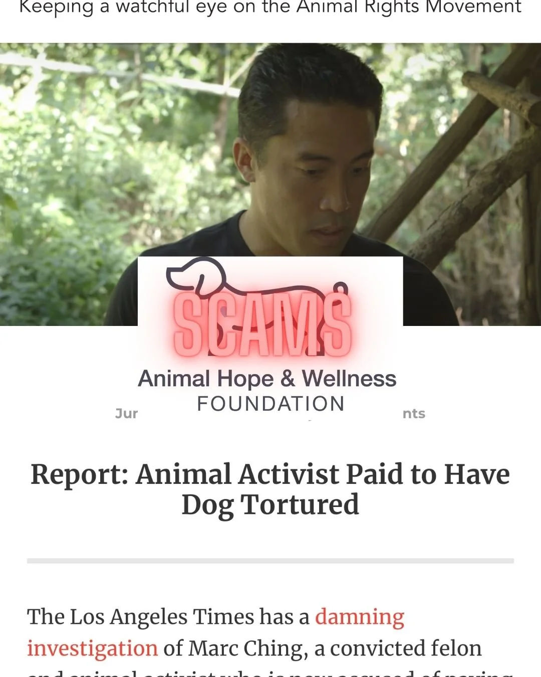 Marc Ching Animal abuser and Murder