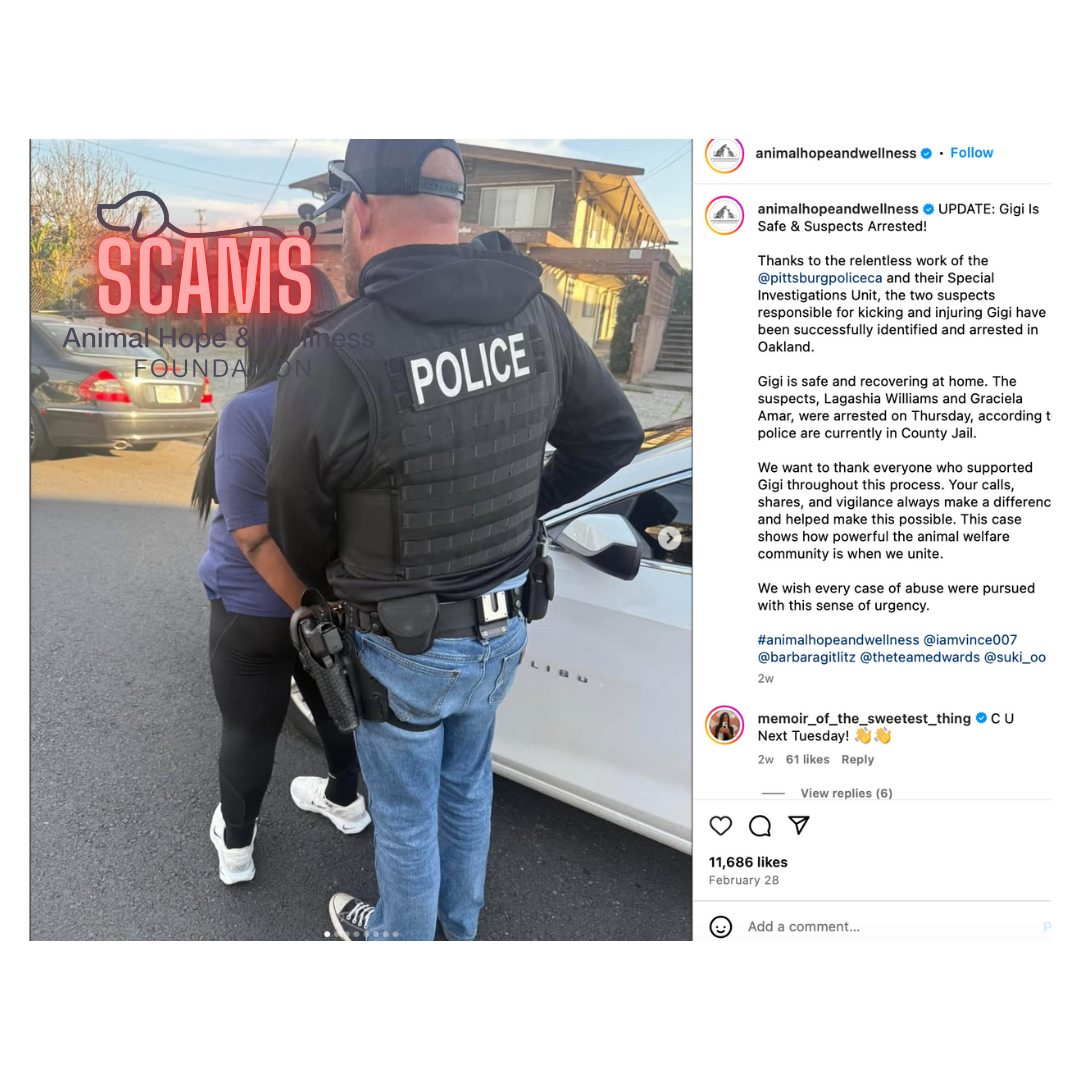 #animalhopeandwellnessfoundation #vincesena #animalhopeandwellnessscams #animalshopeandwellnesschinashelteescams #vincesena #sukisu #sheenagao #ElenaRoberto