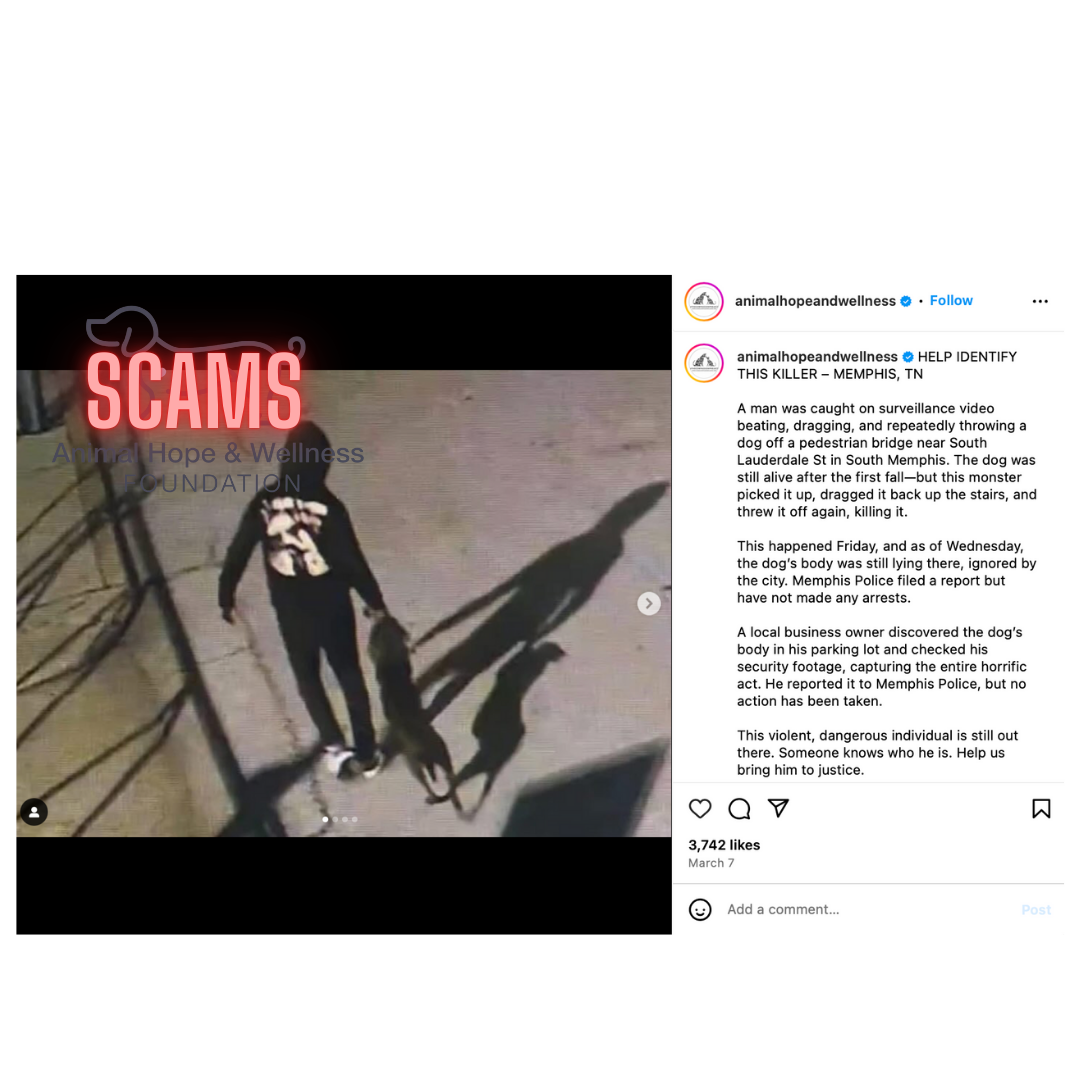 Vince Sena Marc ching and animal hope and wellness Scams 