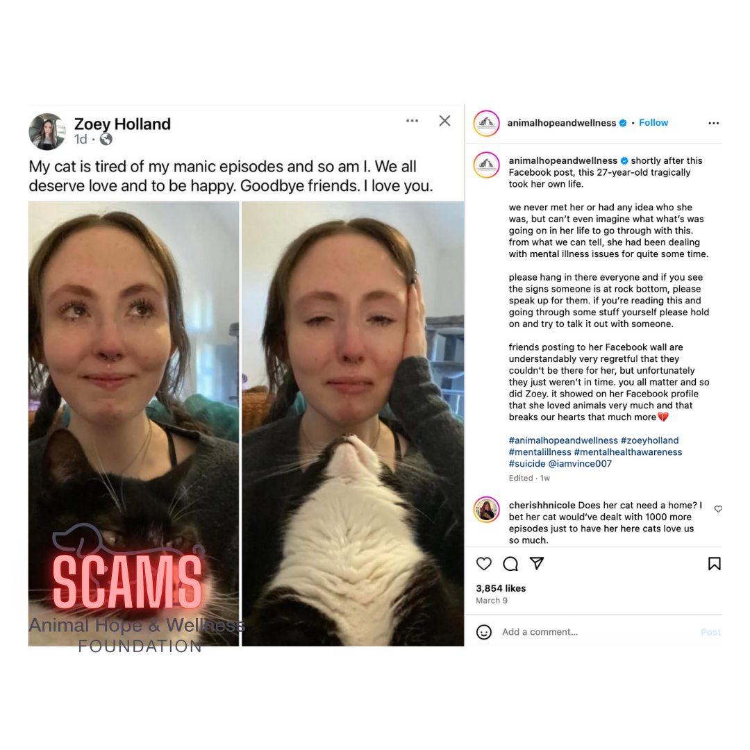 Vince Sena one o fMarc Ching ring of abusers. Uses his platform to accused other abusers when he himself and Animal hope and wellness Foundation have killed and abused countless dogs for donations