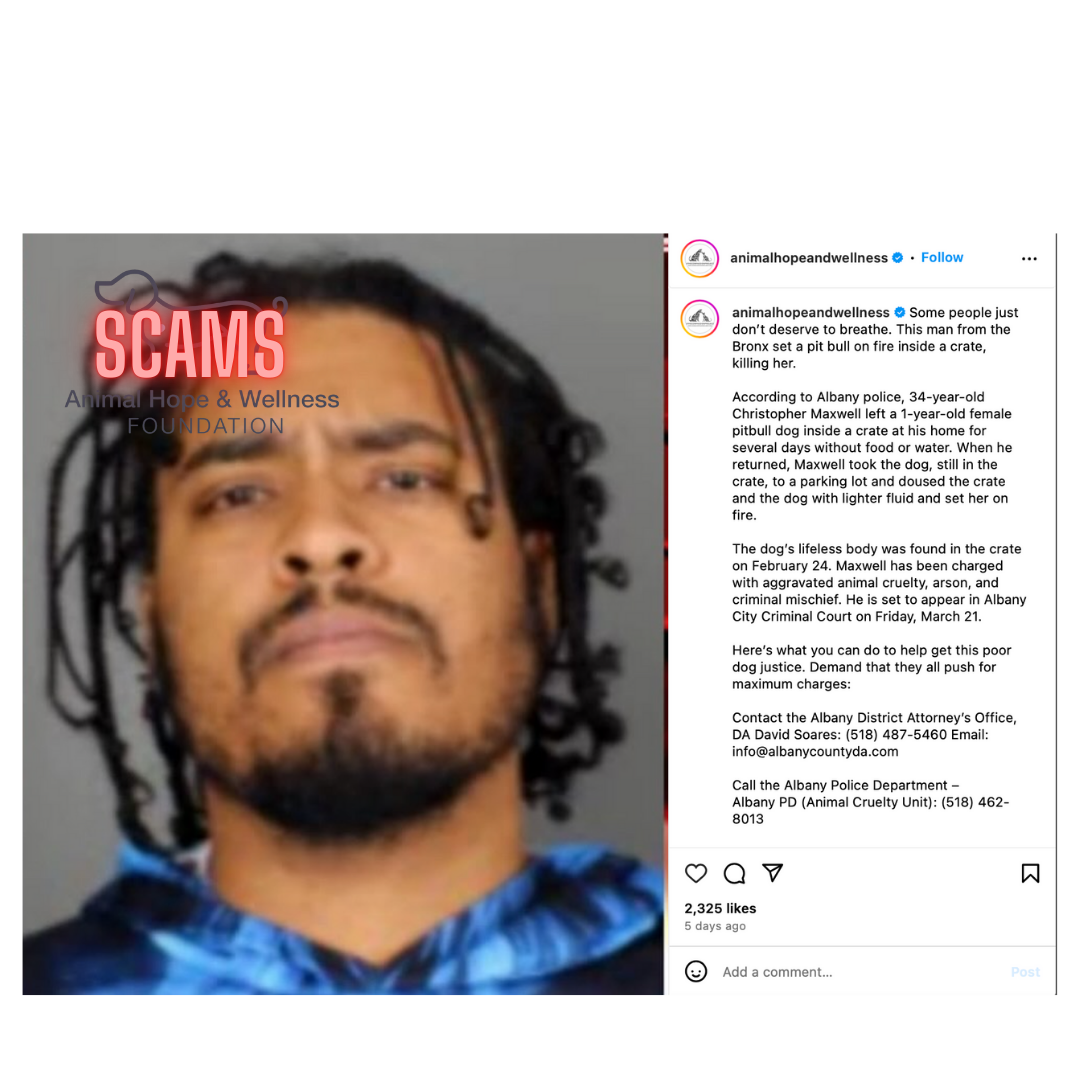 Vince Sena Marc ching and animal hope and wellness Scams 