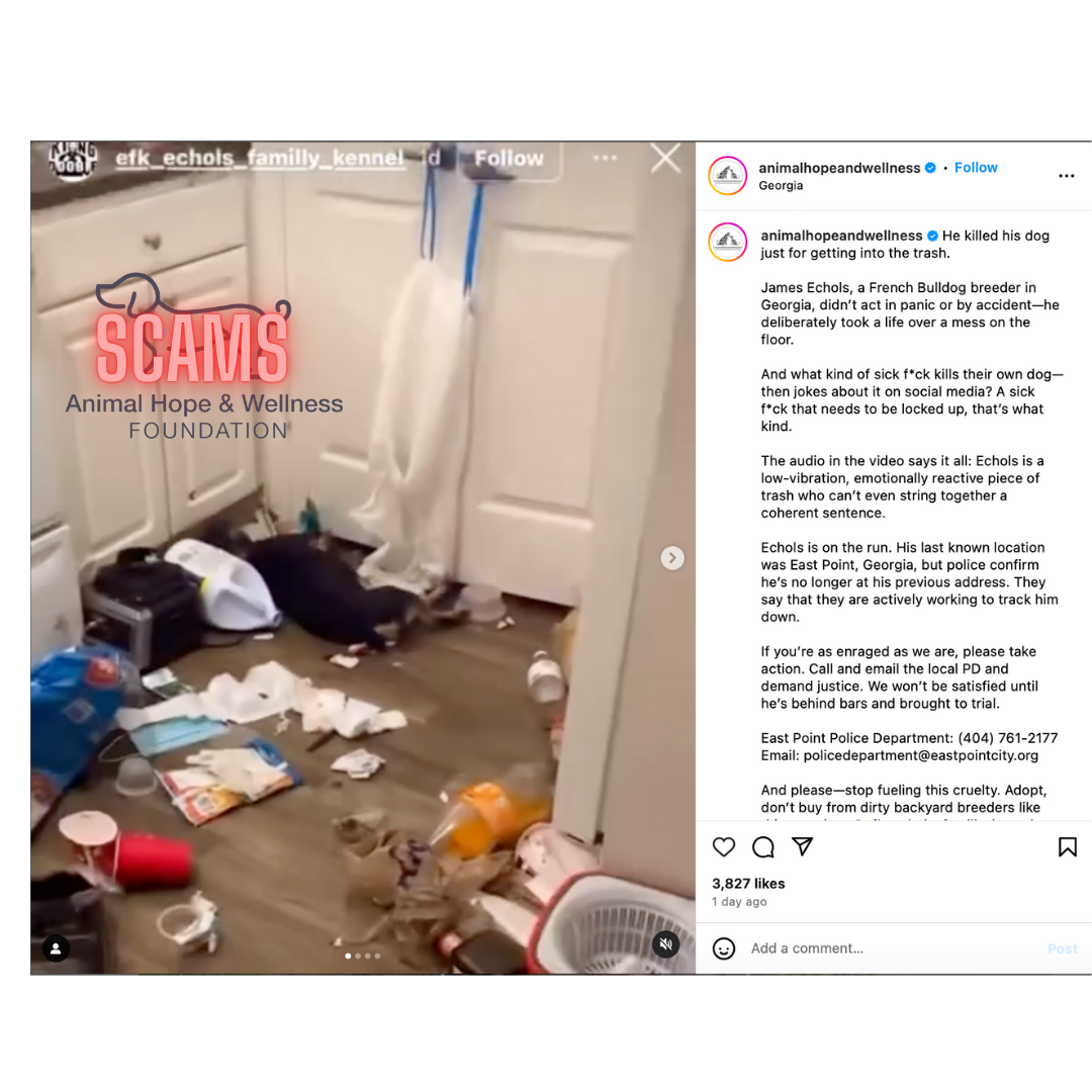 Marc ching and animal hope and wellness Scams 