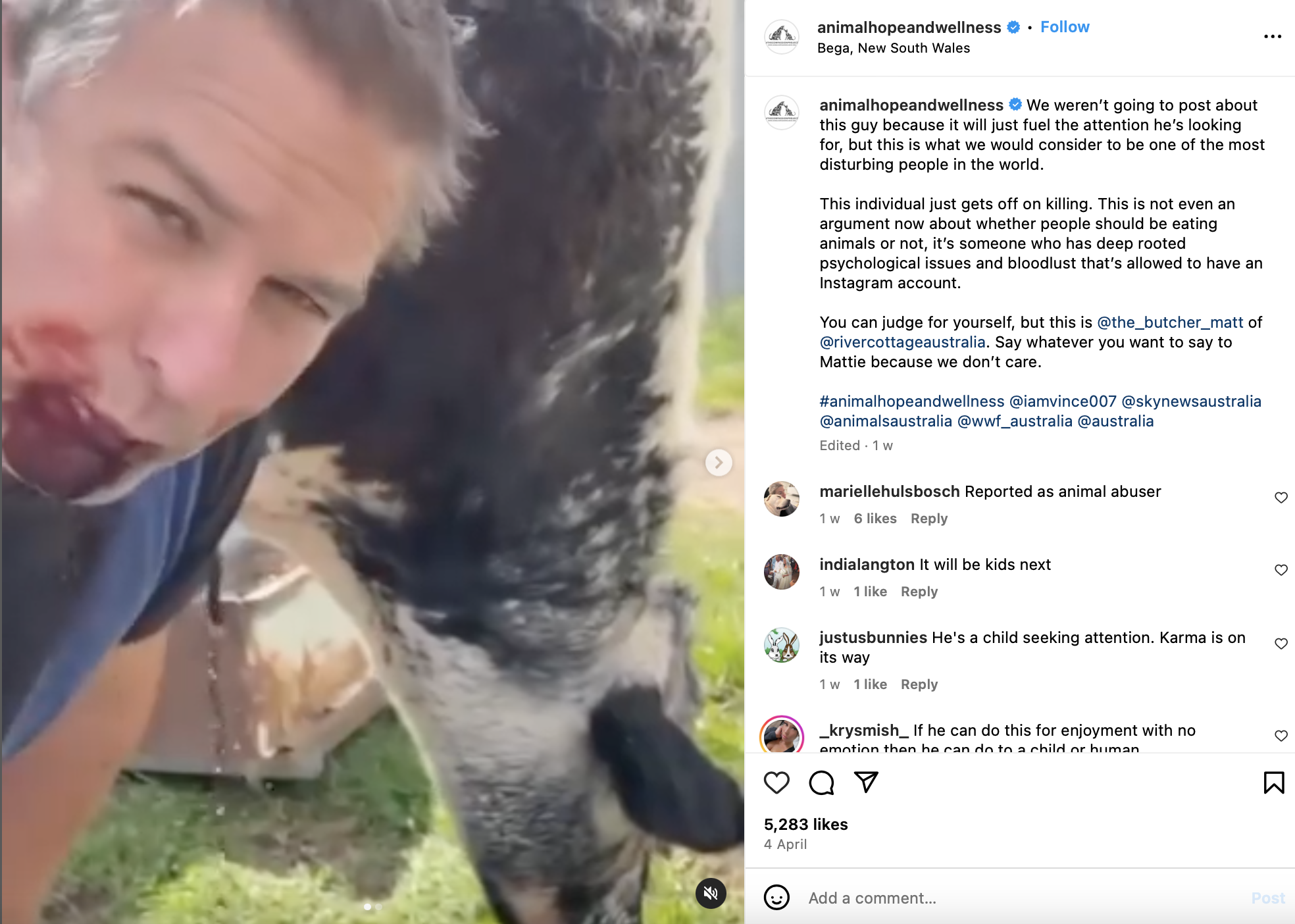 Marc Ching  Vince Sena animal hope and wellness  post horrific posts to get donations and scam the public to think they are helping