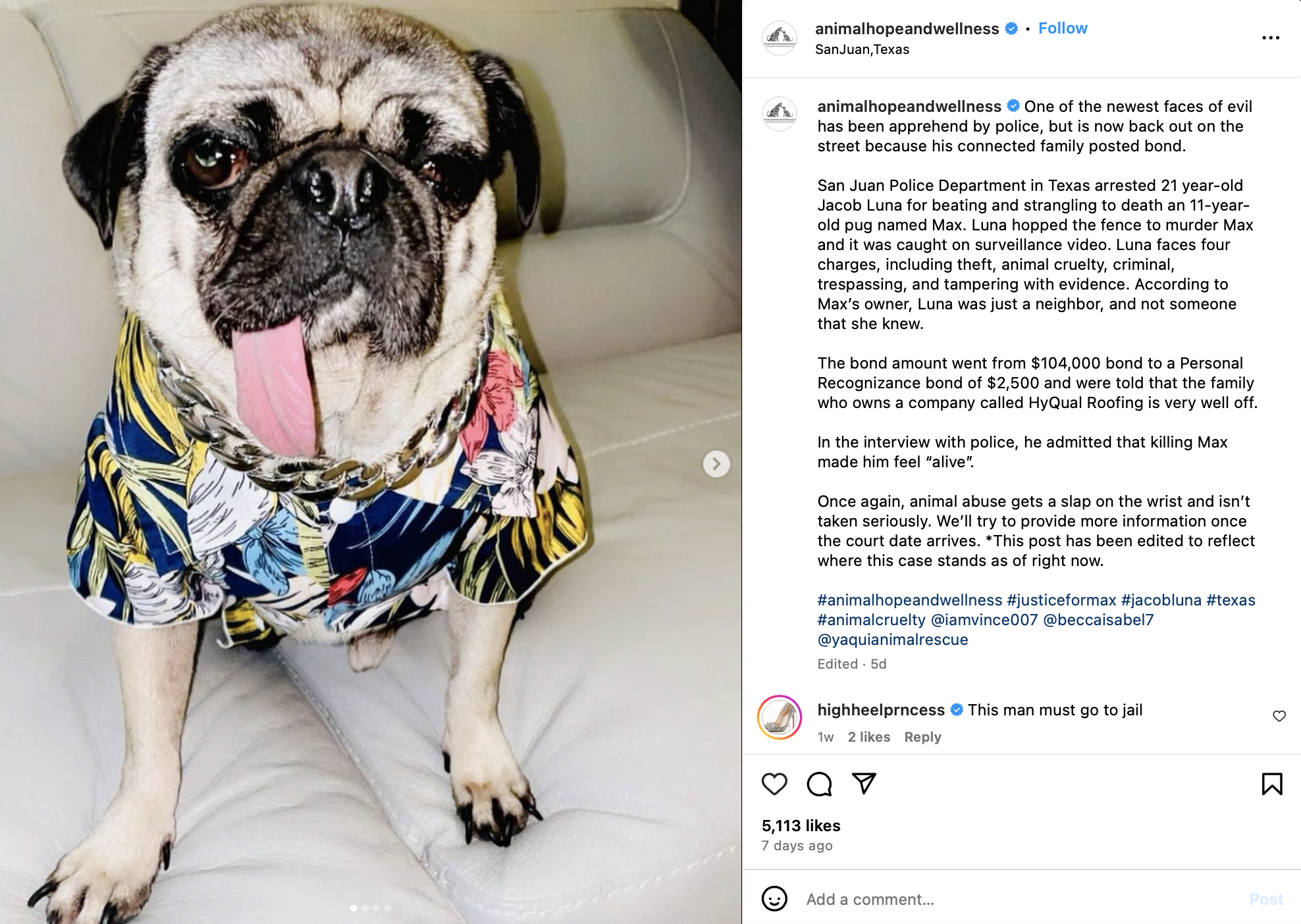 Marc ching and animal hope and wellness Scams 