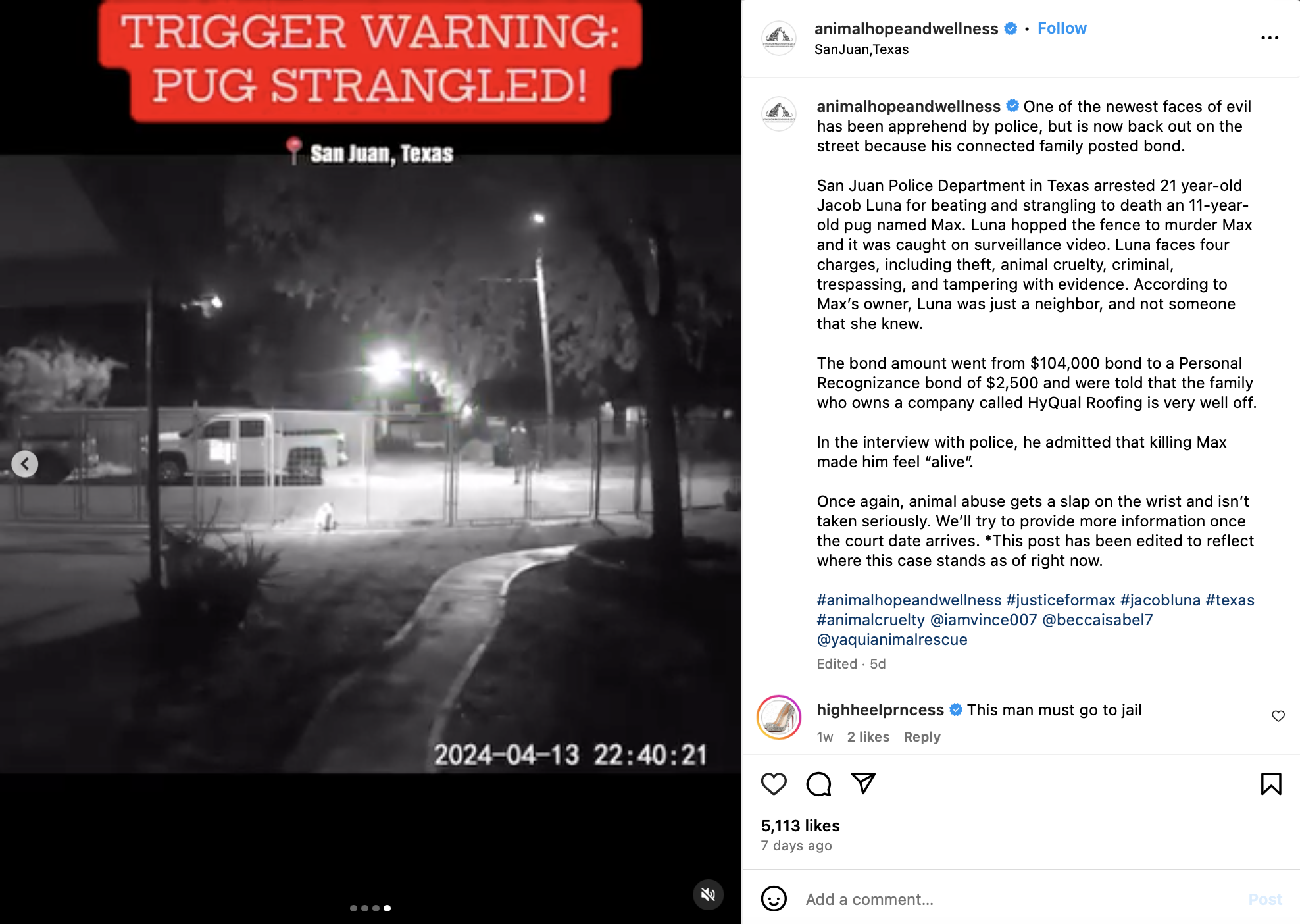 Marc ching staged and abused the pug 