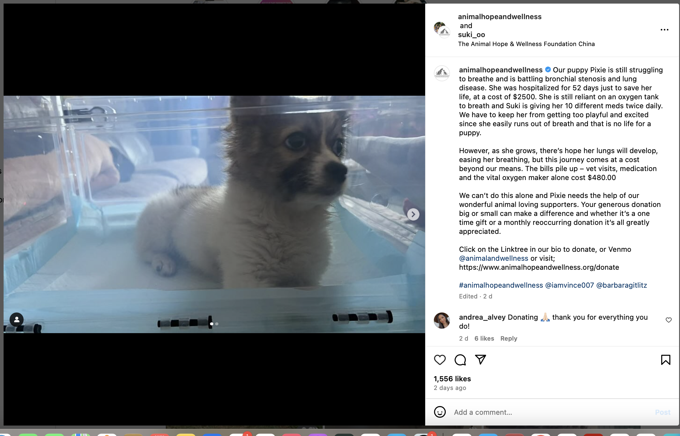 Animal Hope and wellness Scam Marc ching suki su