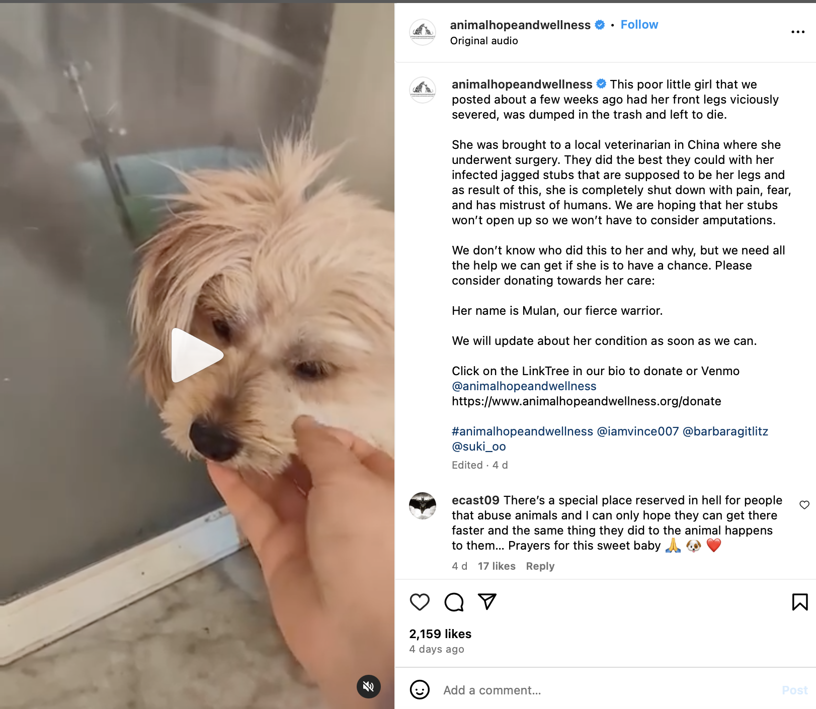  Animal hope and Wellness  SCAMMING FOR DONATIONS 