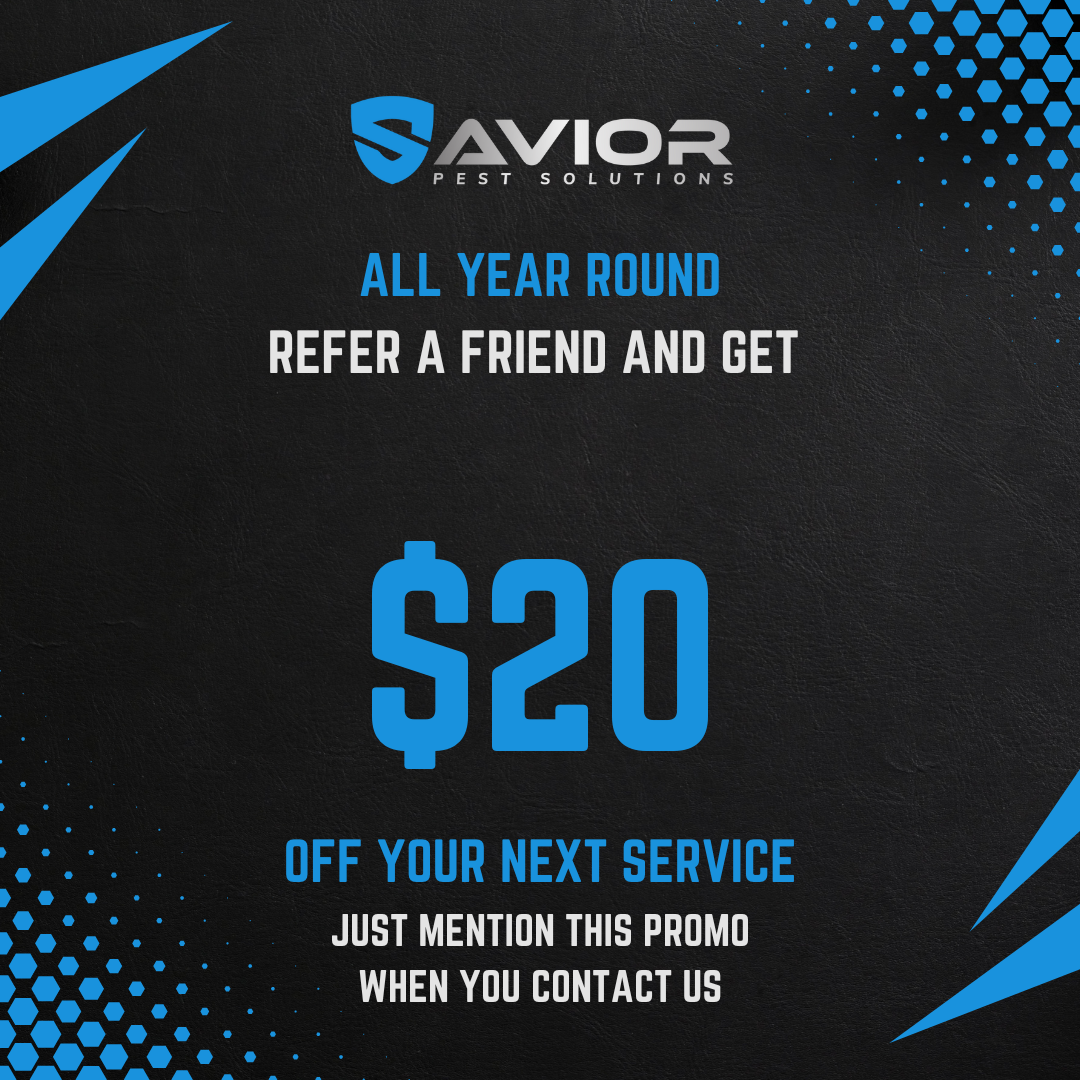 Black promotional card for Savior Pest Solutions offering '$20 off' on services with a referral, featuring blue and gray text and design elements.