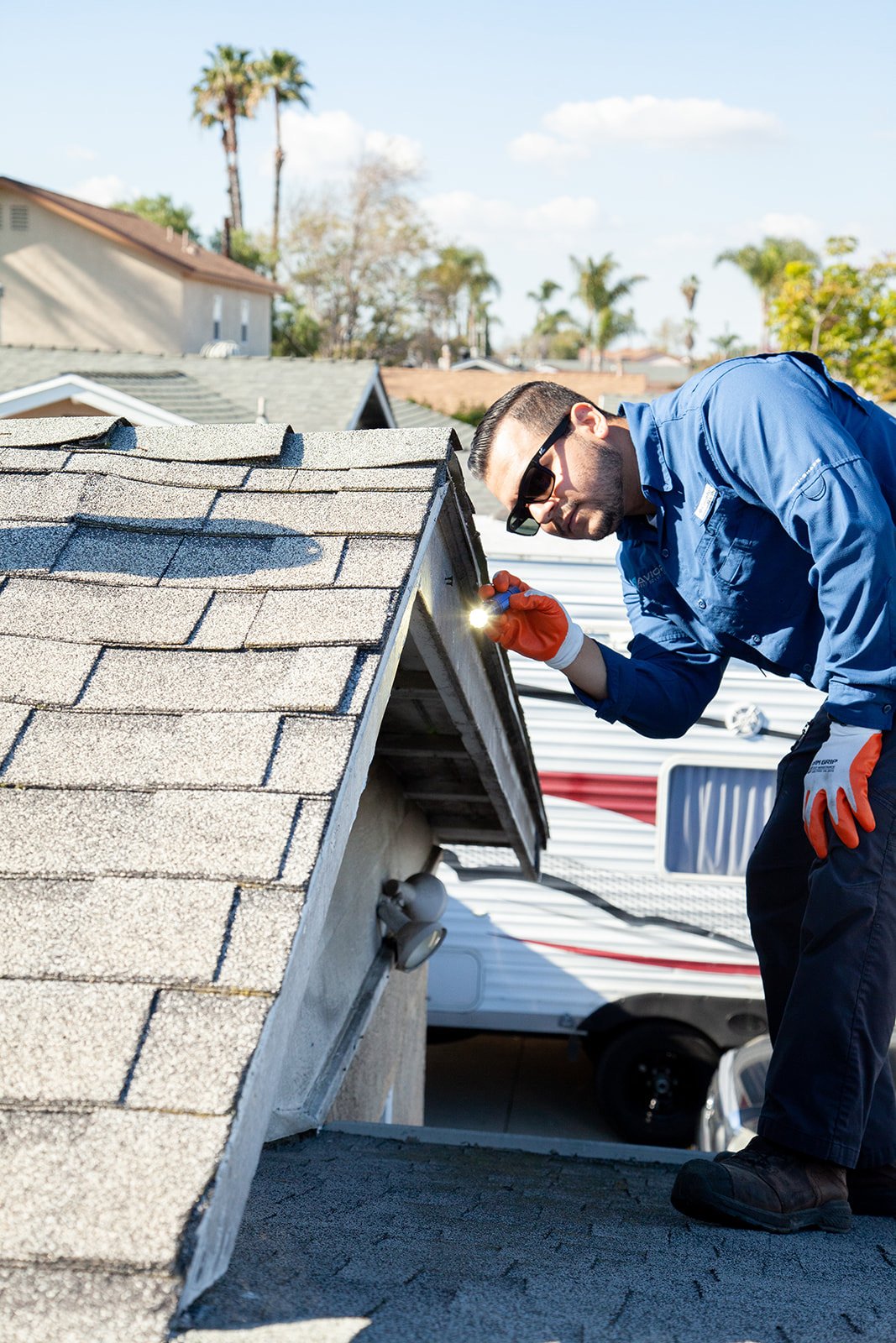 Rat Activity on the Rise is Southern CA: Protecting Your Home and Business in Perris, California, with Savior Pest Solutions!