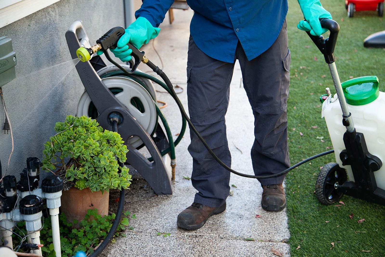 The Essential Role of Regular General Pest Control and the Added Benefit of Rodent Proofing with Savior Pest Solutions in Riverside, LA, and Orange County!