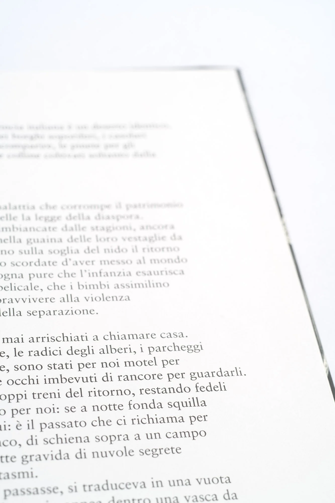 _DSC4985 copia.jpg