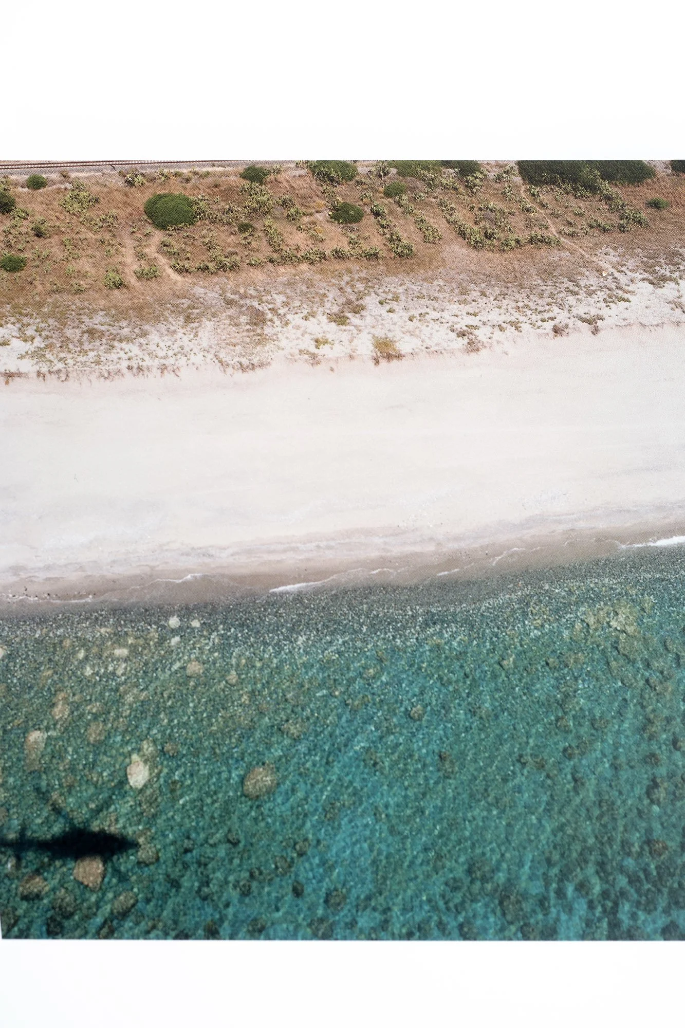 _DSC5201 copia.jpg