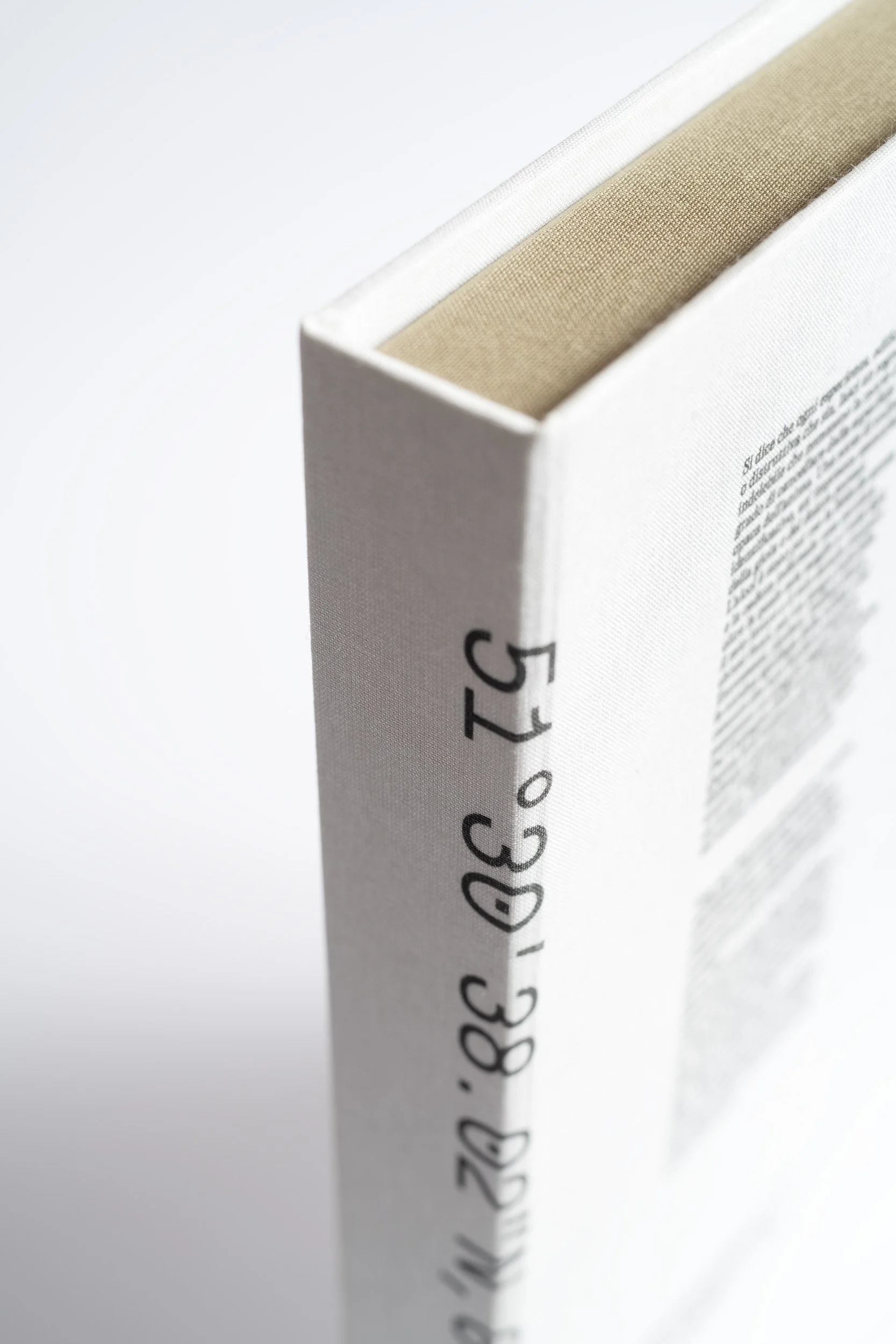 _DSC4086 copia.jpg