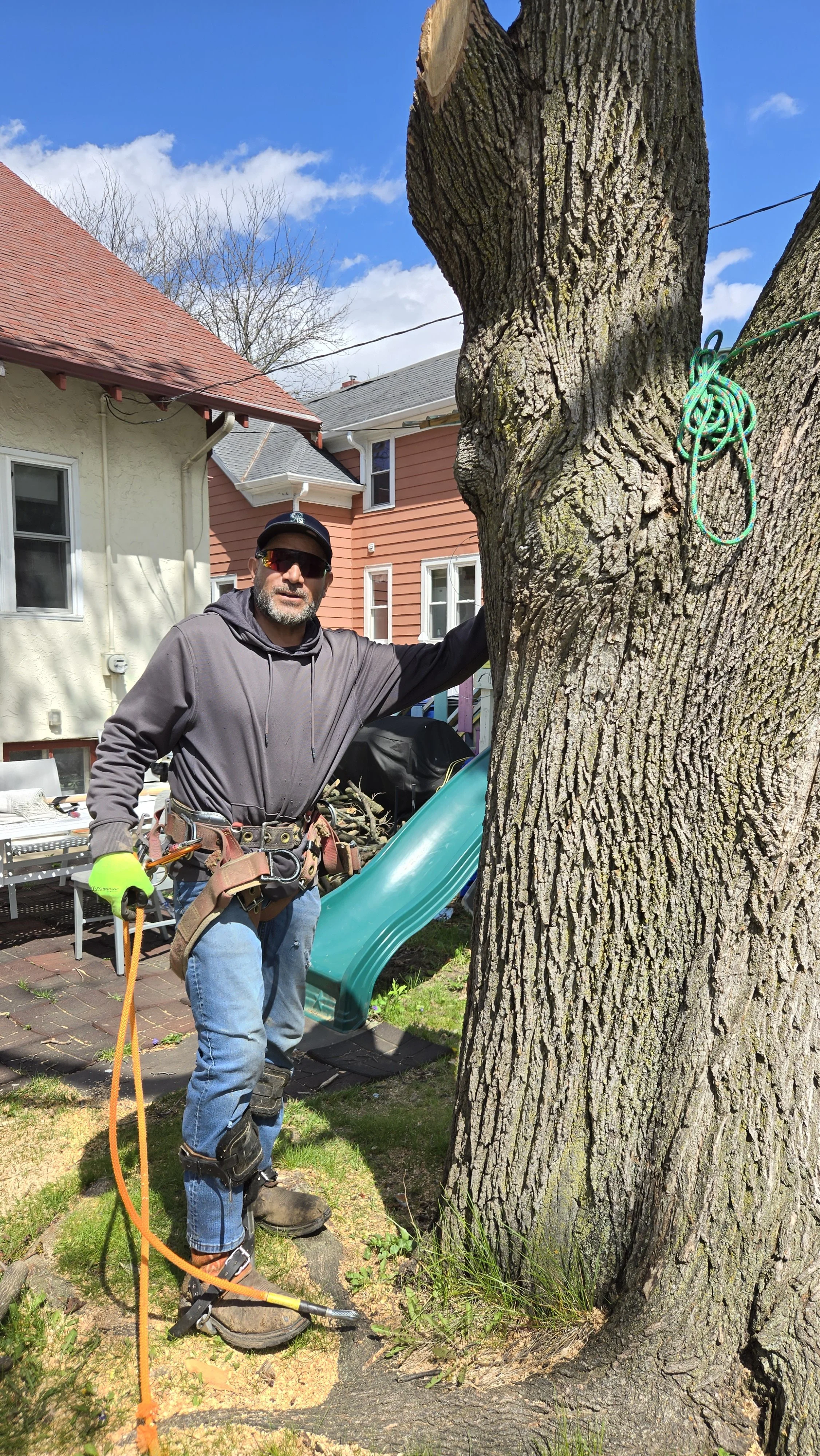 A man in safety gear, including a harness, gloves, and protective eyewear, stands outdoors next to a large tree with a branch that is being cut. There is a slide and houses in the background on a sunny day.
