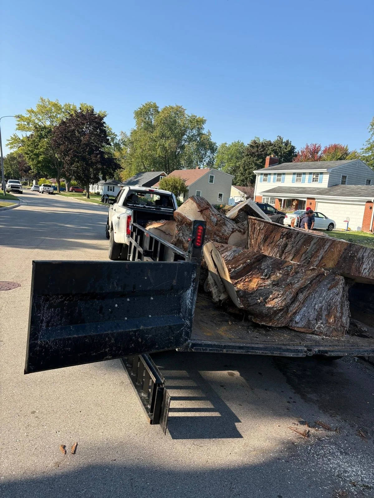 A pickup truck parked on a suburban street with large tree logs in its bed.