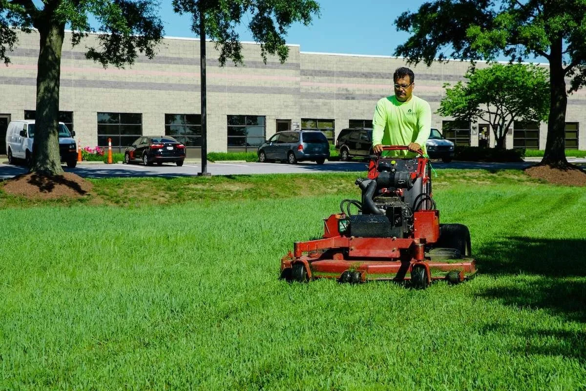 Lawn and Landscaping Services