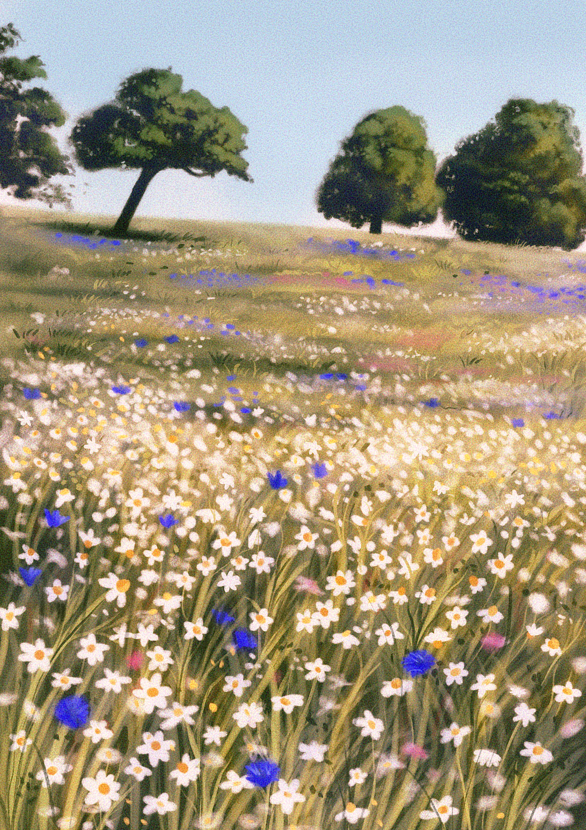 Summer meadow