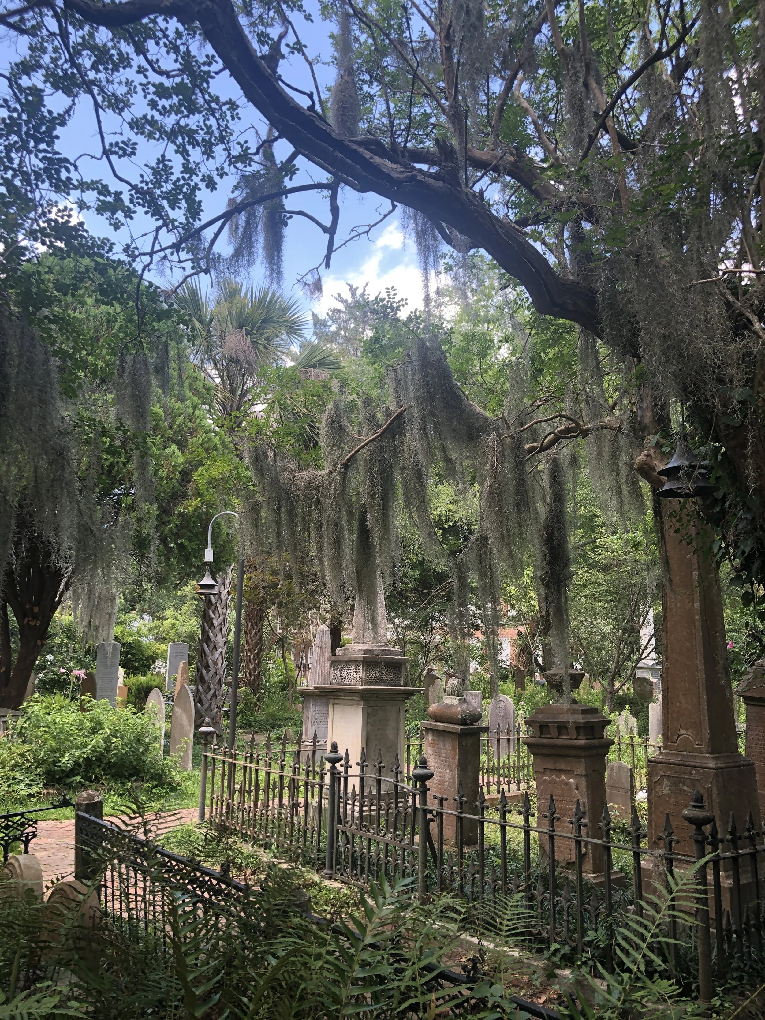 Garden of Stillness - Historic Cemetery Beneath Mossy Oaks

Ancient live oaks draped in Spanish moss arch above a historic garden cemetery, where weathered headstones and iron fencing rest beneath the quiet canopy of the southern trees.

Suggested Ho