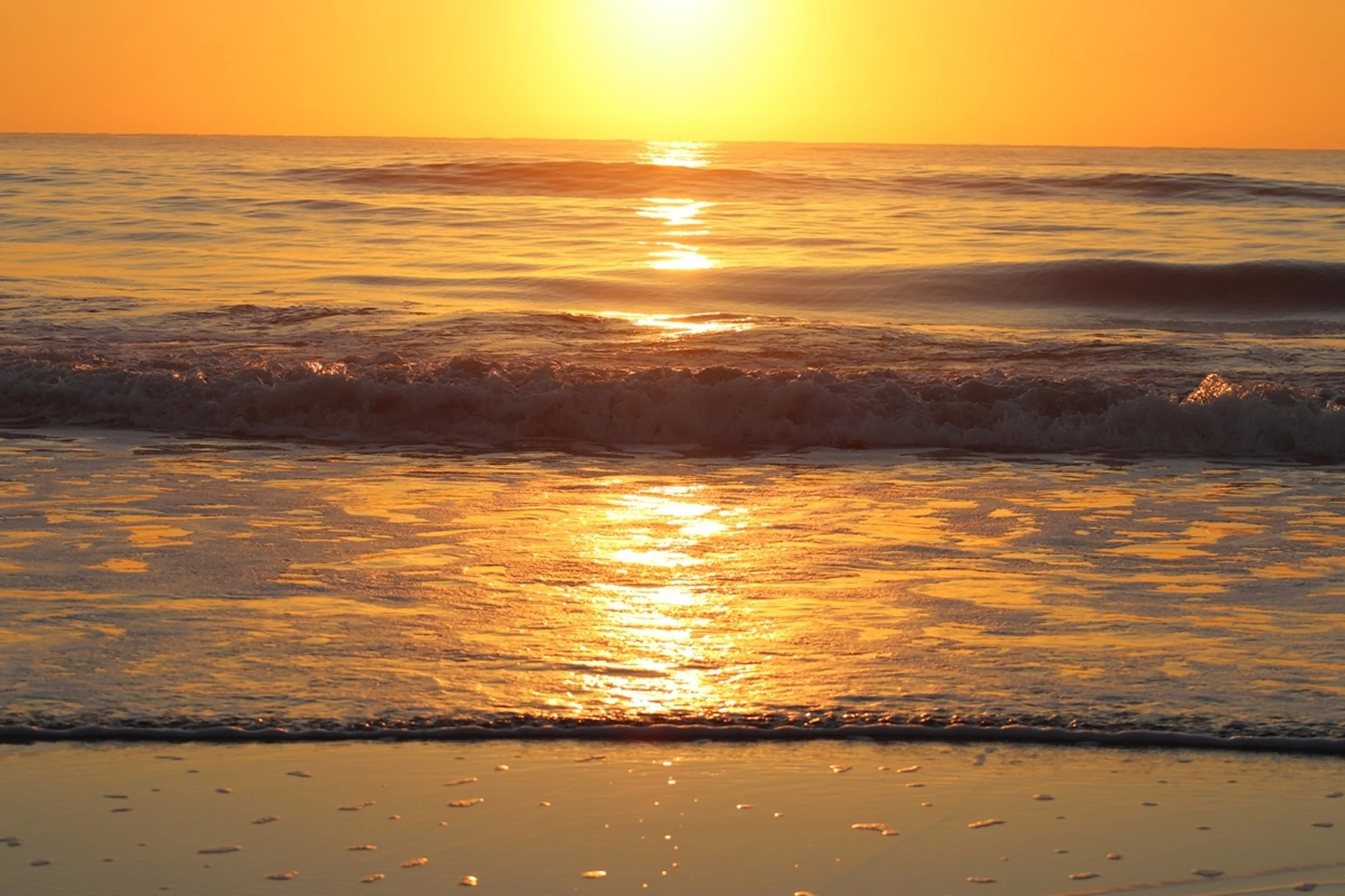 Coastal Golden Hour