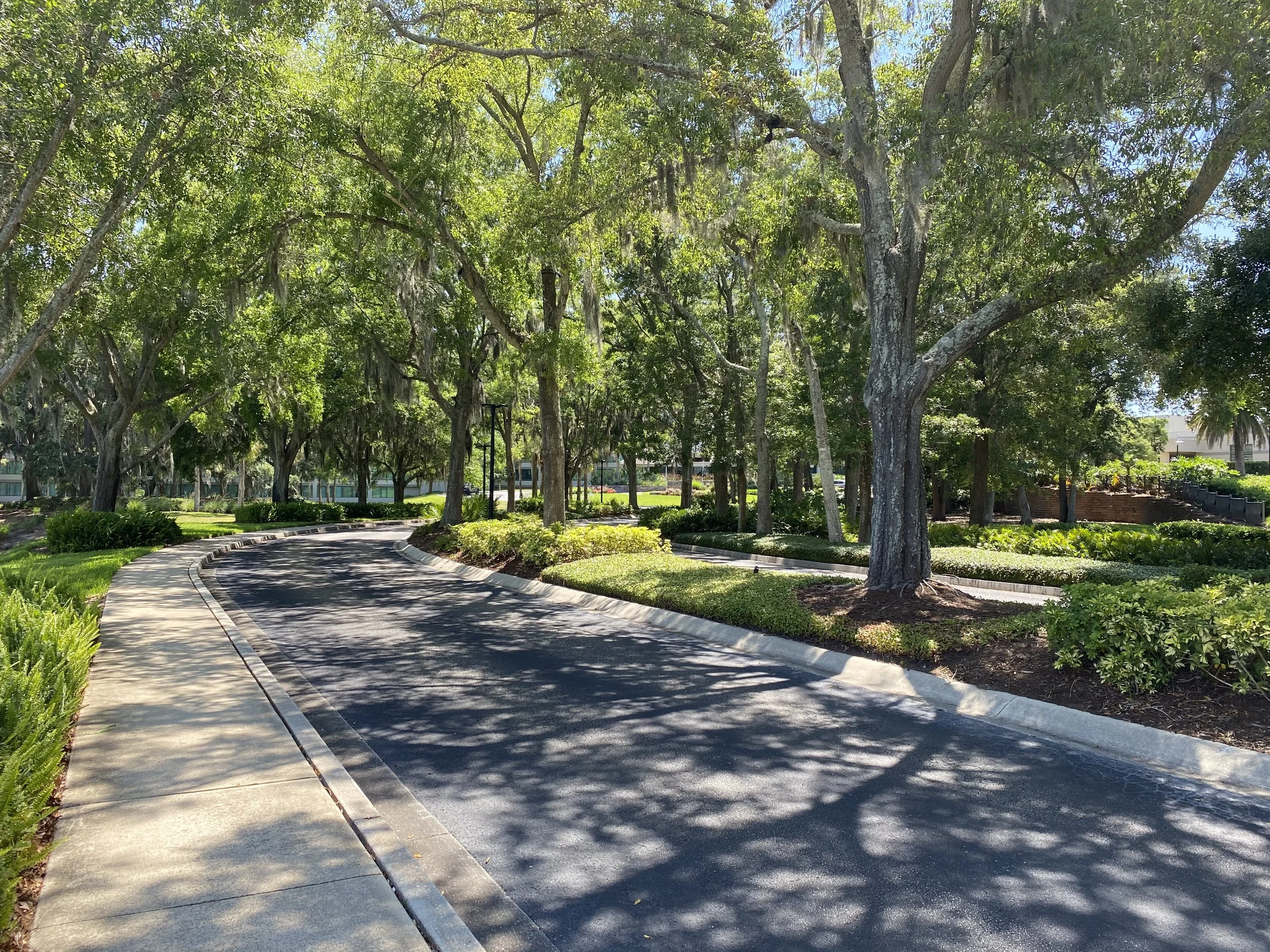 Southern Canopy: Towering live oaks draped in Spanish moss create a graceful canopy over a gently winding drive, welcoming visitors with timeless Southern elegance. Southern Canopy celebrates the harmony between landscape architecture and nature, whe