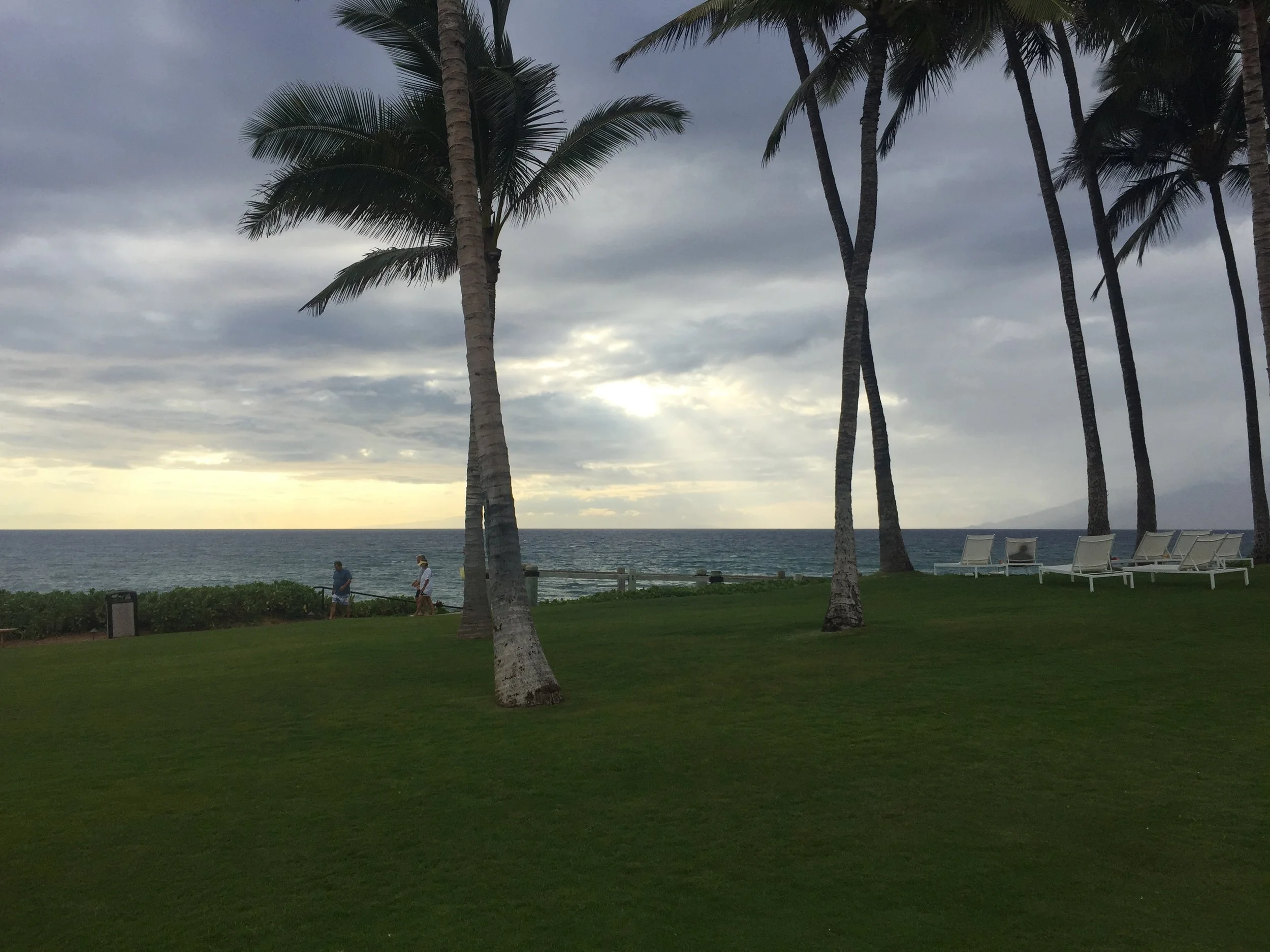 Ocean Serenity (Sunset Lawn & Palms): Soft evening light filters through towering palms as the Pacific settles into a quiet rhythm beyond the shoreline. The peaceful balance of tropical landscape, open lawn, and dramatic sky creates a contemplative m