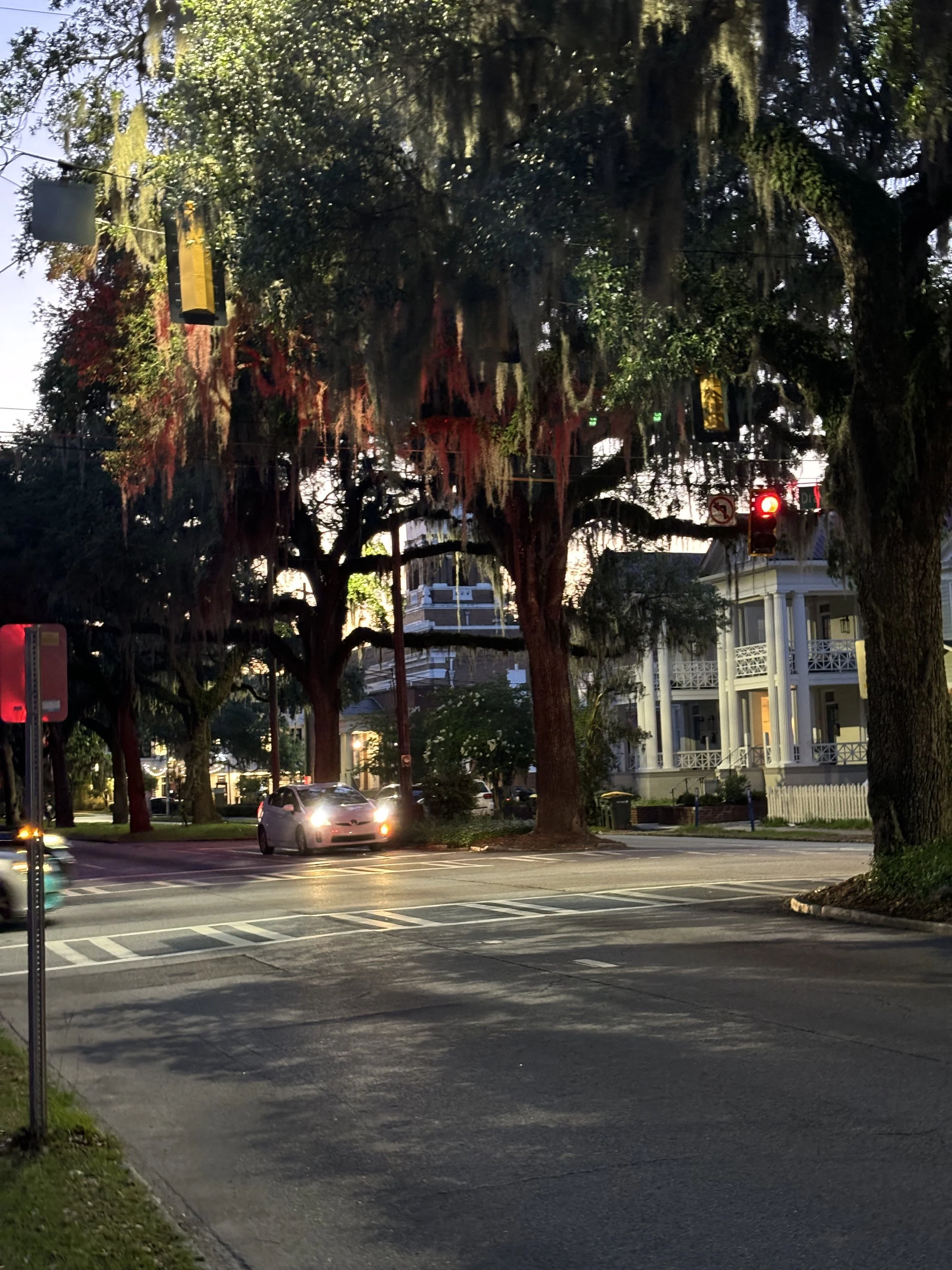 Twilight Beneath the Oaks: Beneath a canopy of majestic live oaks draped in Spanish moss, the final light of day settles across a quiet Southern streetscape. Twilight Beneath the Oaks captures the timeless charm of historic neighborhoods where gracio