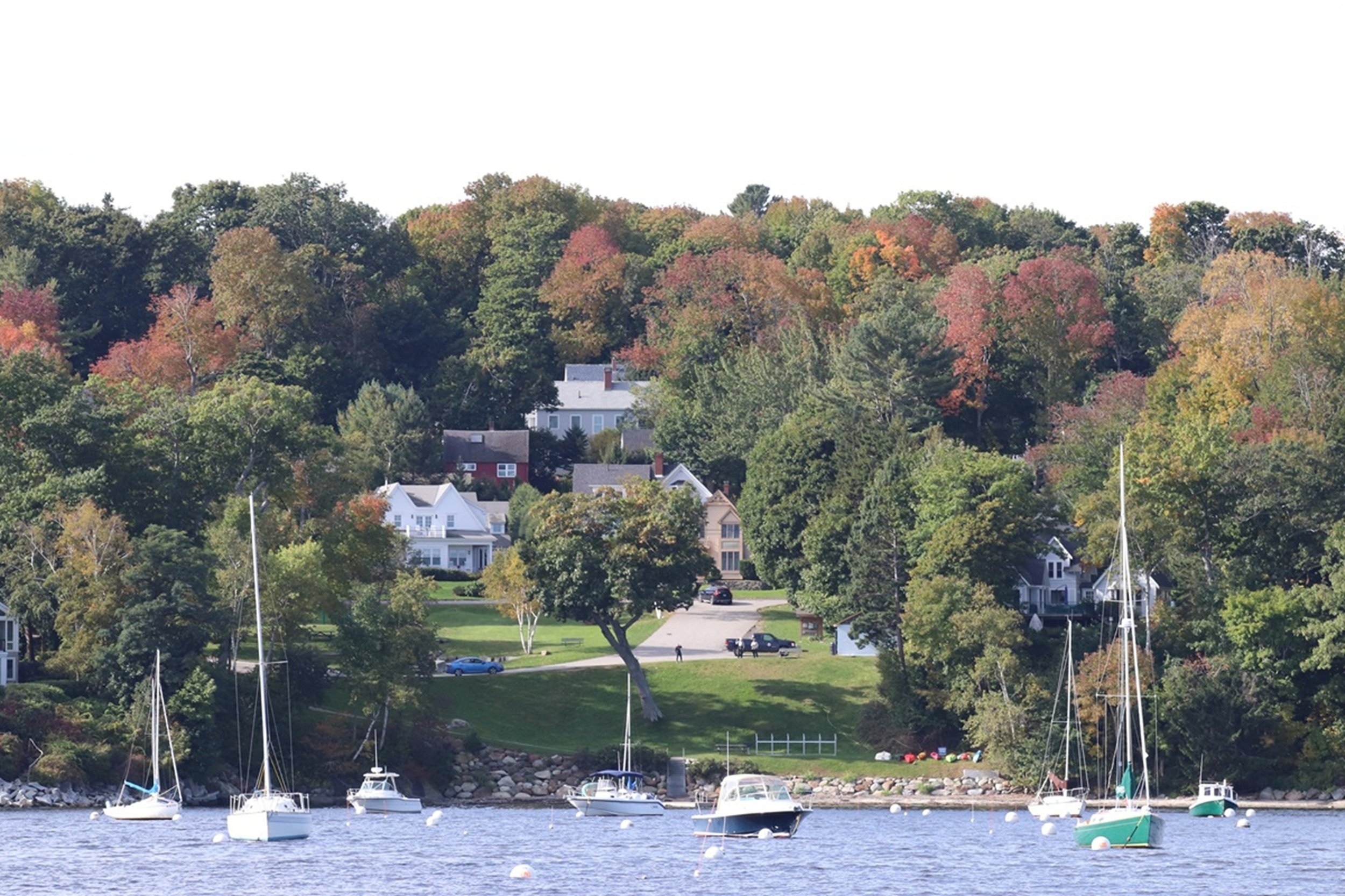 Anchored Calm Beneath Autumn Hills - Sailboats rest quietly in protected harbor waters while early autumn color begins to emerge across the wooded shoreline beyond. Balancing coastal elegance with a strong sense of place, this image brings together t