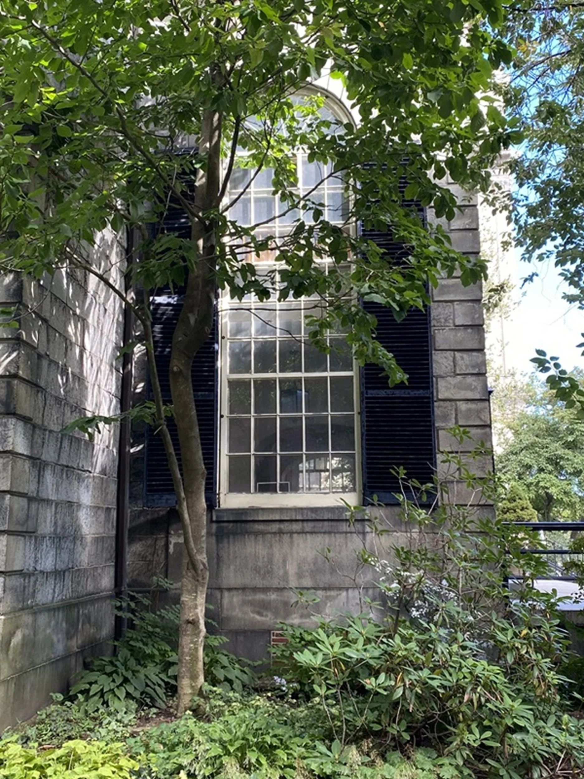 Quiet Window Study: Framed by leafy branches and weathered stone, a historic window emerges quietly from a secluded garden setting. Rich in texture, light, and architectural character, this image brings a sense of discovery and timeless elegance to b