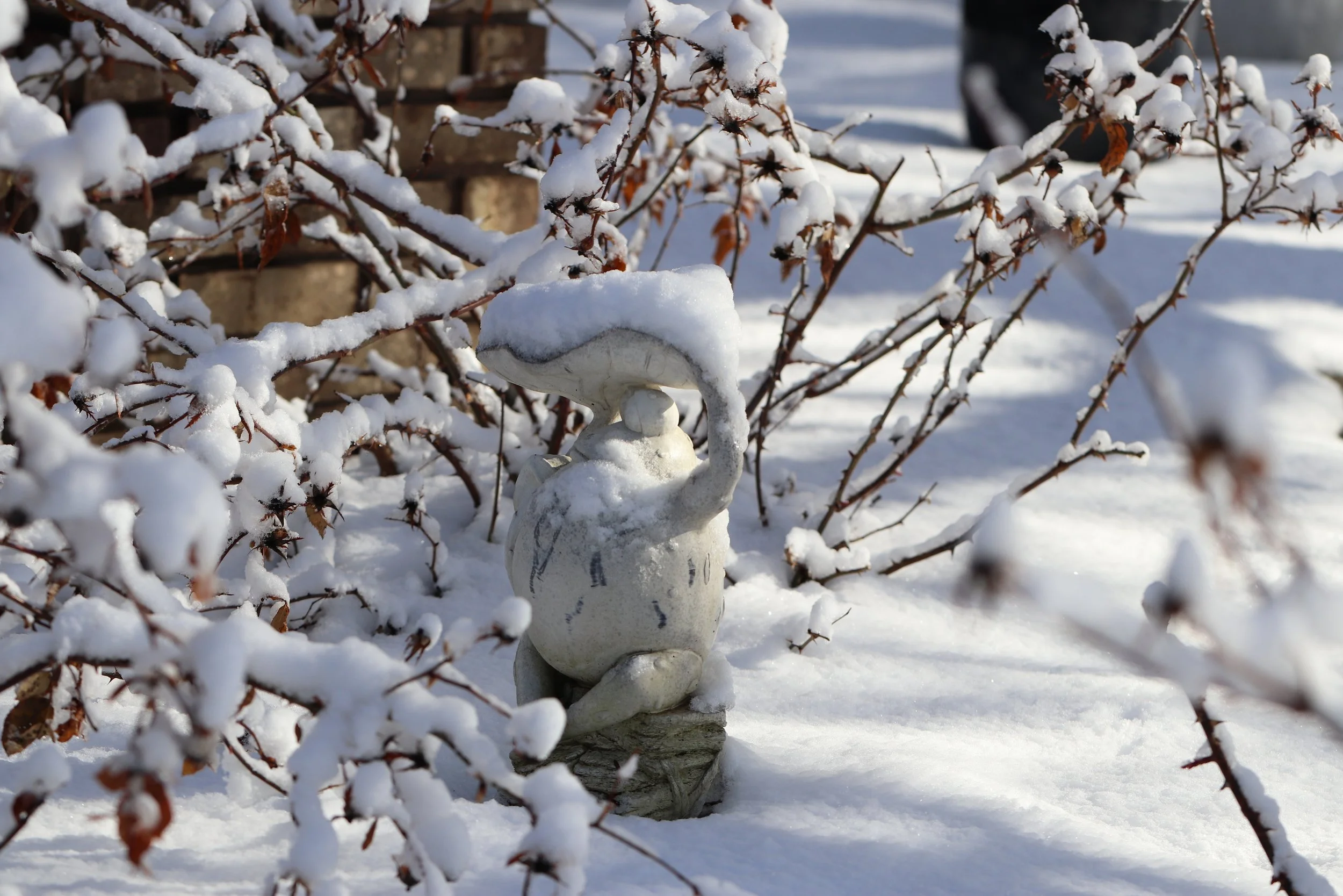 Quiet Winter Moments