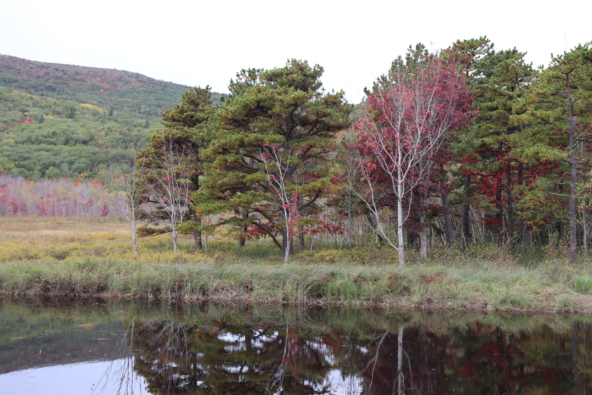 Autumn Reflections: Early autumn color begins to emerge along a quiet shoreline where trees and distant hills are mirrored in perfectly still water. Soft reds, muted greens, and delicate reflections create a peaceful seasonal landscape that celebrate