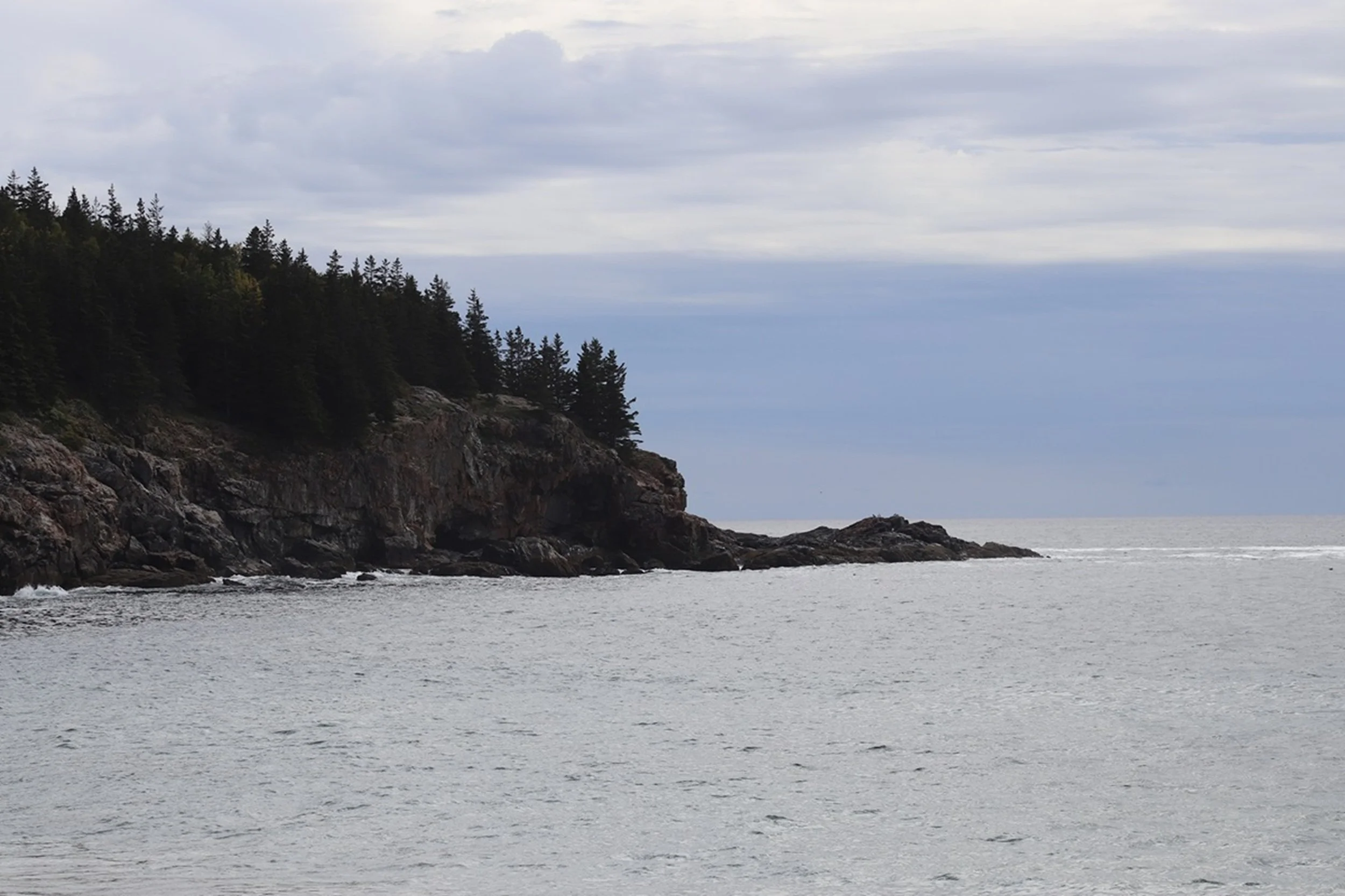 Granite Headland in Soft Light - Maine Coast: A forested granite headland extends into calm coastal waters beneath soft atmospheric light, showcasing the enduring character of Maine's shoreline. The composition balances scale, texture, and tranquilit