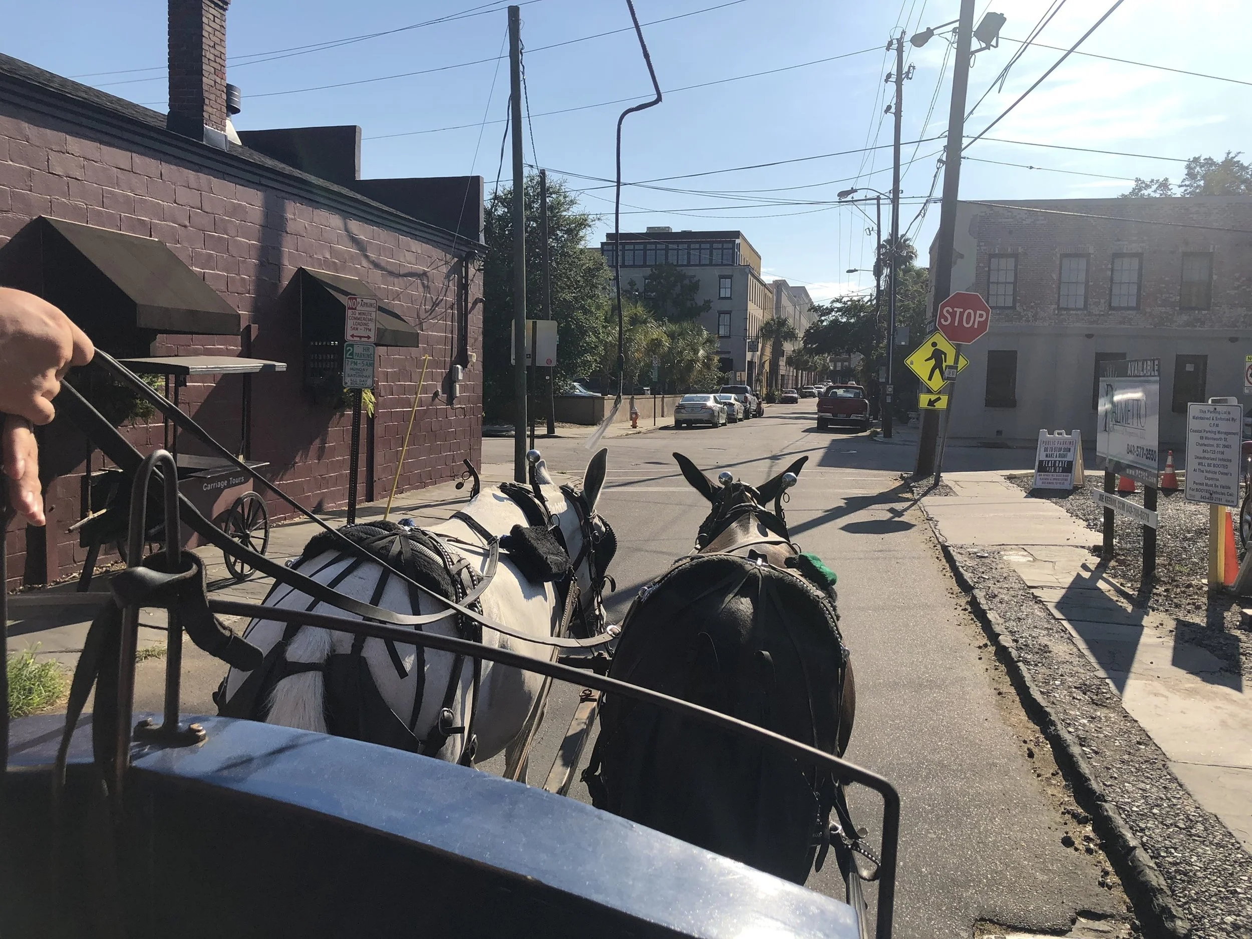 Crossing the Modern Street

Viewed from a carriage seat, two horses move through a Charleston street lined with historic buildings and modern city life. The perspective places the viewer within the rhythm of the journey itself.

Best Hospitality Plac