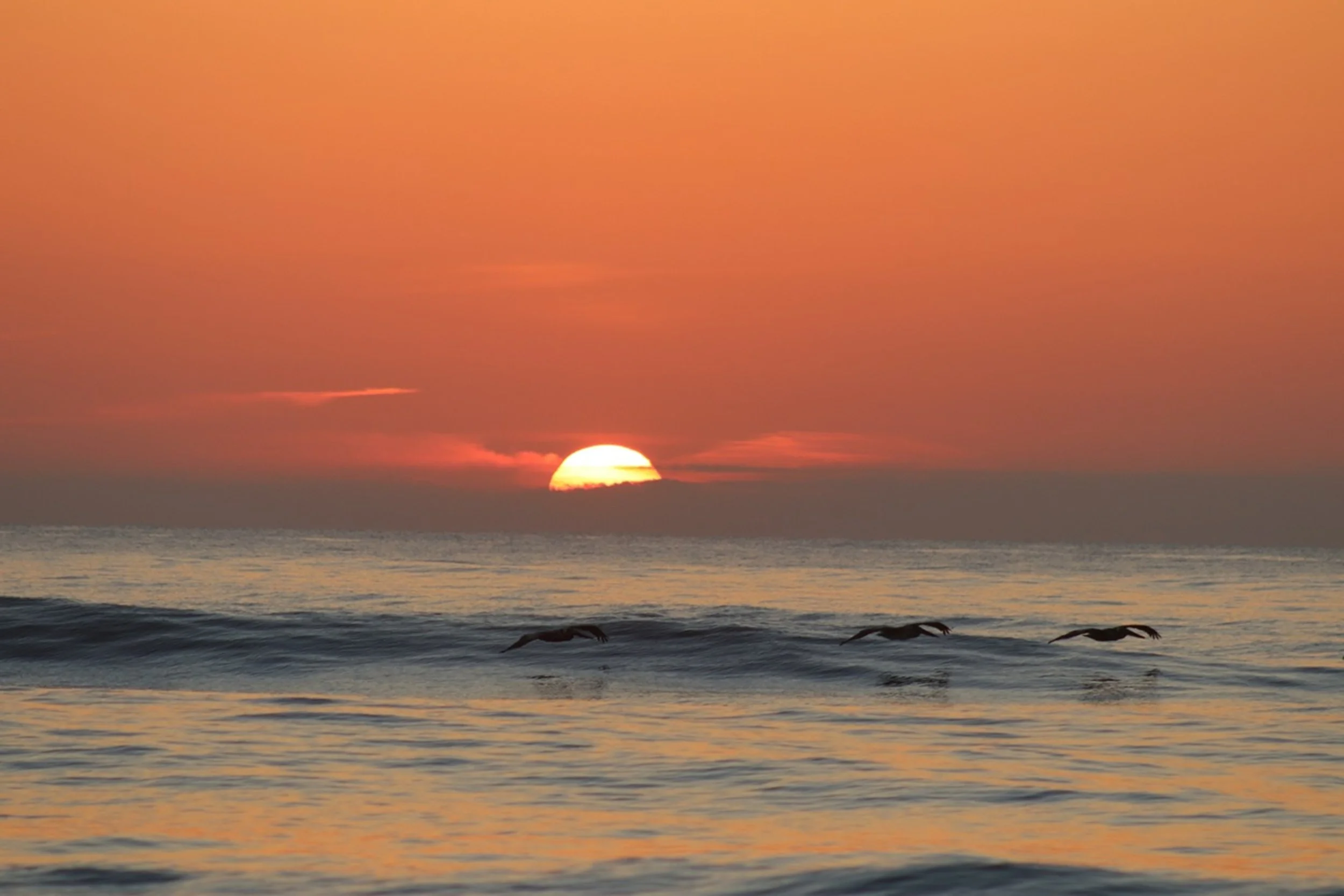 Wings Over the Rising Tide

Three seabirds glide just above the cresting morning waves as the sun rises slowly over the horizon. Warm amber light spreads across the calm ocean, illuminating the gentle movement of the tide and creating a quiet moment 