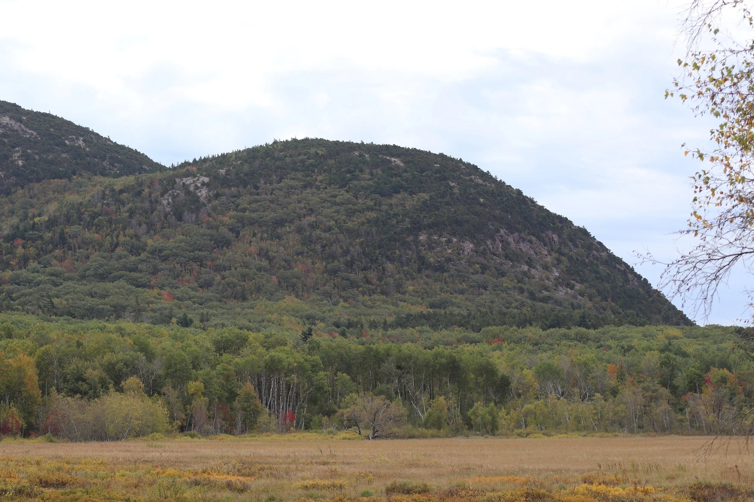 Mountain Meadow Beneath the Ridge.JPG