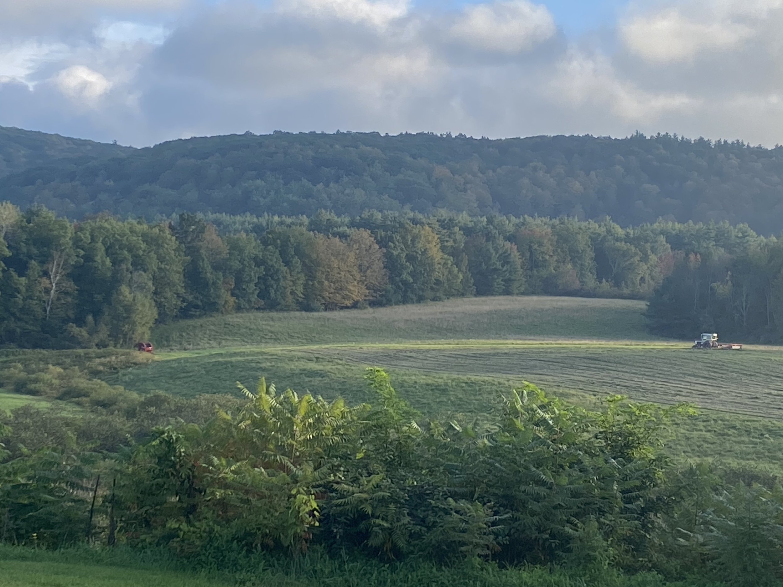 Working the Valley: Gentle farmland stretches toward wooded hills beneath dramatic morning clouds, where cultivated fields reflect the enduring relationship between people and the landscape. The scene celebrates rural craftsmanship while maintaining 