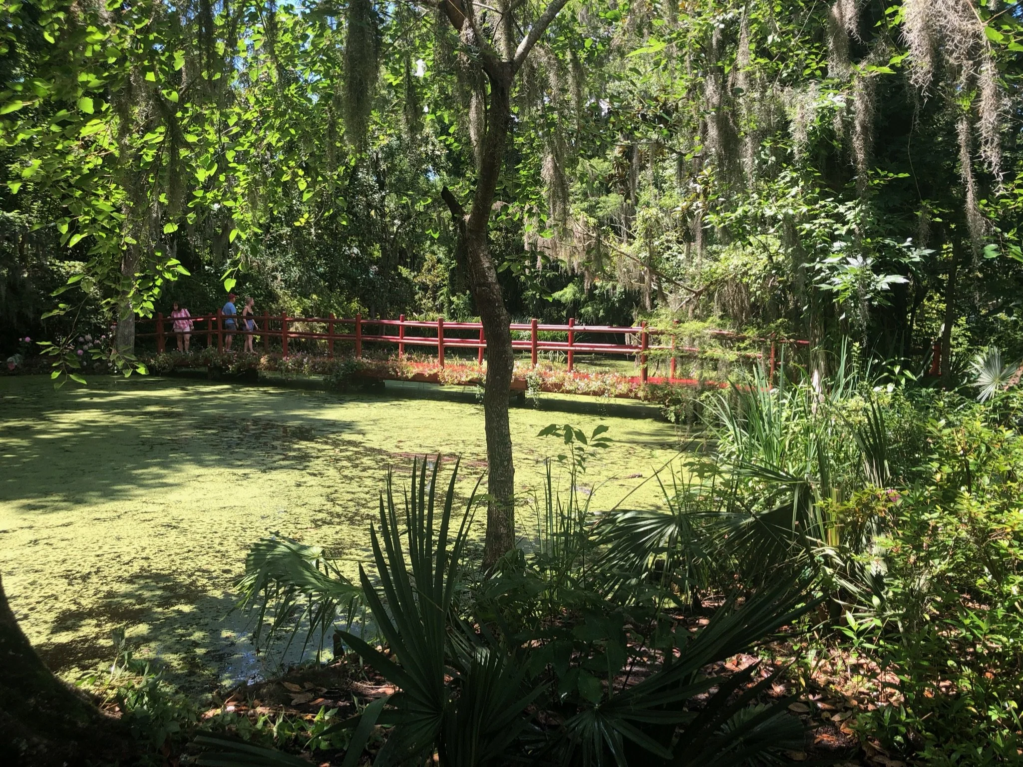 Garden Passage.jpg