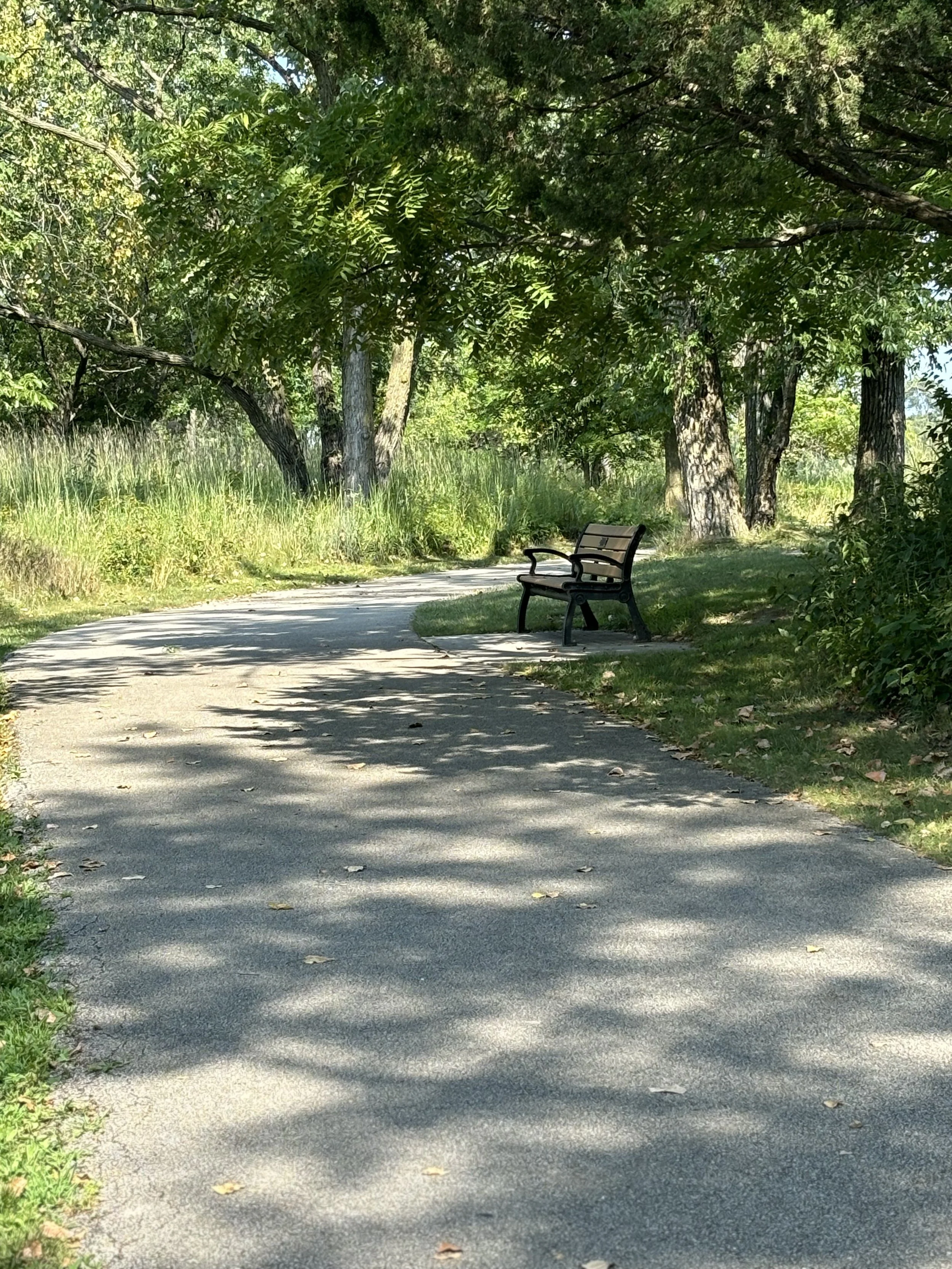 A Place to Pause: A gently curving pathway leads beneath a canopy of mature trees to a solitary bench bathed in soft, filtered light. A Place to Pause captures the quiet invitation to slow down—a moment of stillness where nature and thoughtful design