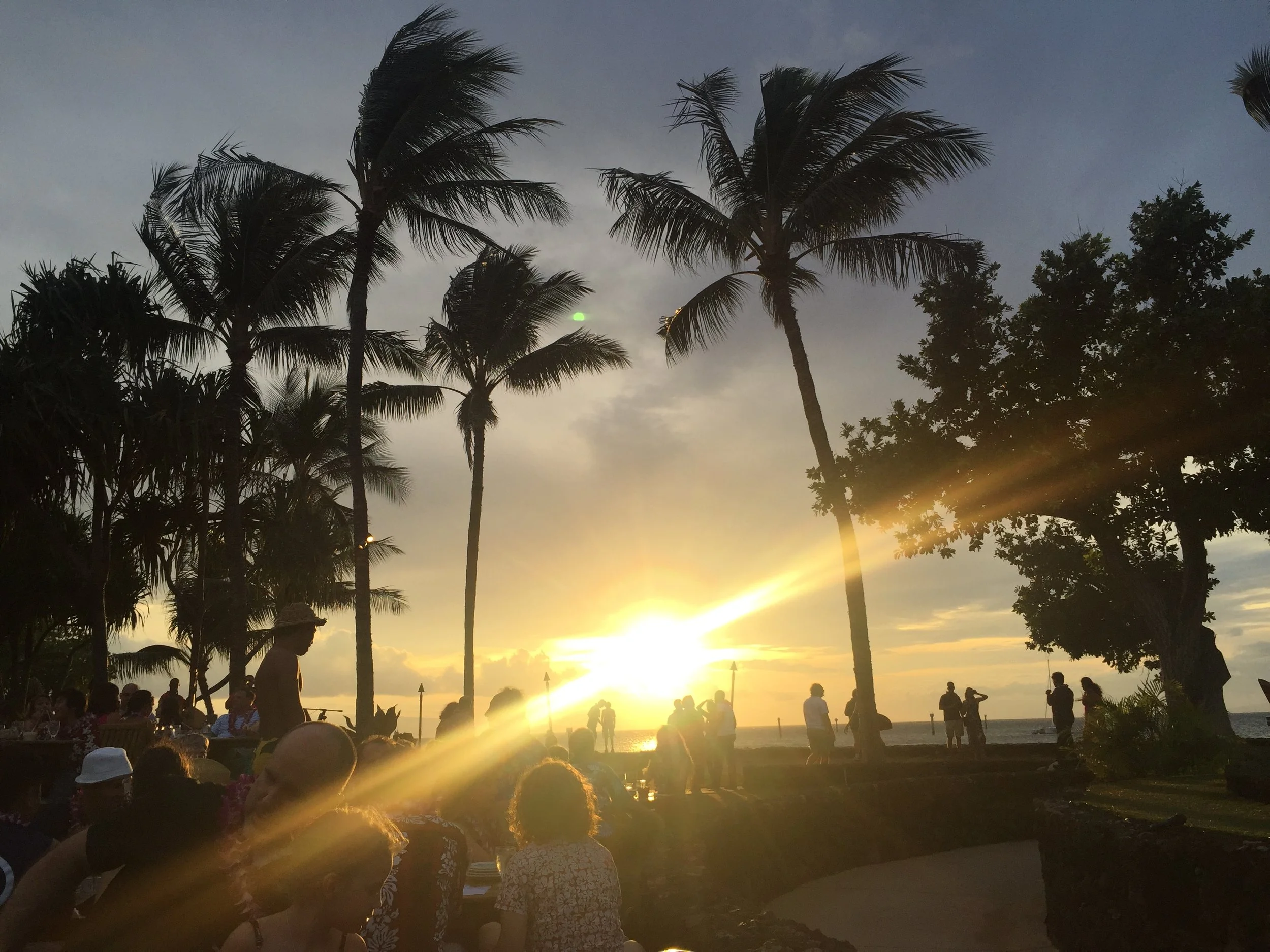 Sunset Celebration (Golden Hour Gathering): Guests gather beneath graceful palms as the setting sun casts brilliant rays across the Pacific, transforming an evening celebration into an unforgettable moment. The interplay of tropical silhouettes, radi