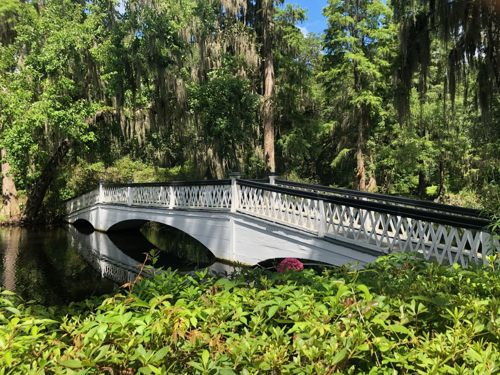 Crossing Quiet Waters: A graceful white footbridge stretches across still water beneath towering cypress and moss-draped trees, inviting visitors deeper into a peaceful Southern garden. Crossing Quiet Waters reflects the harmony between thoughtful la