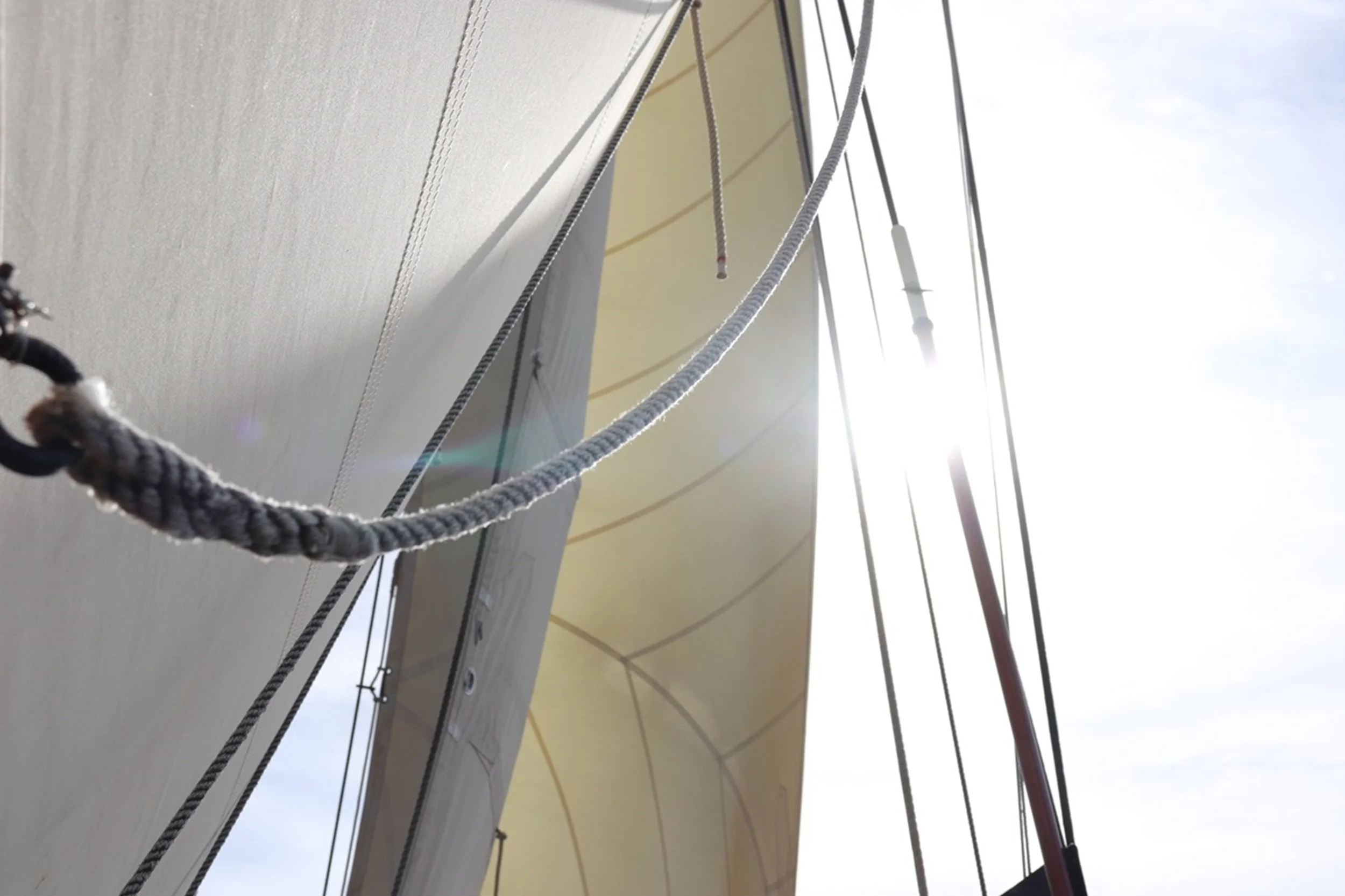 Sailing Into the Light.jpg