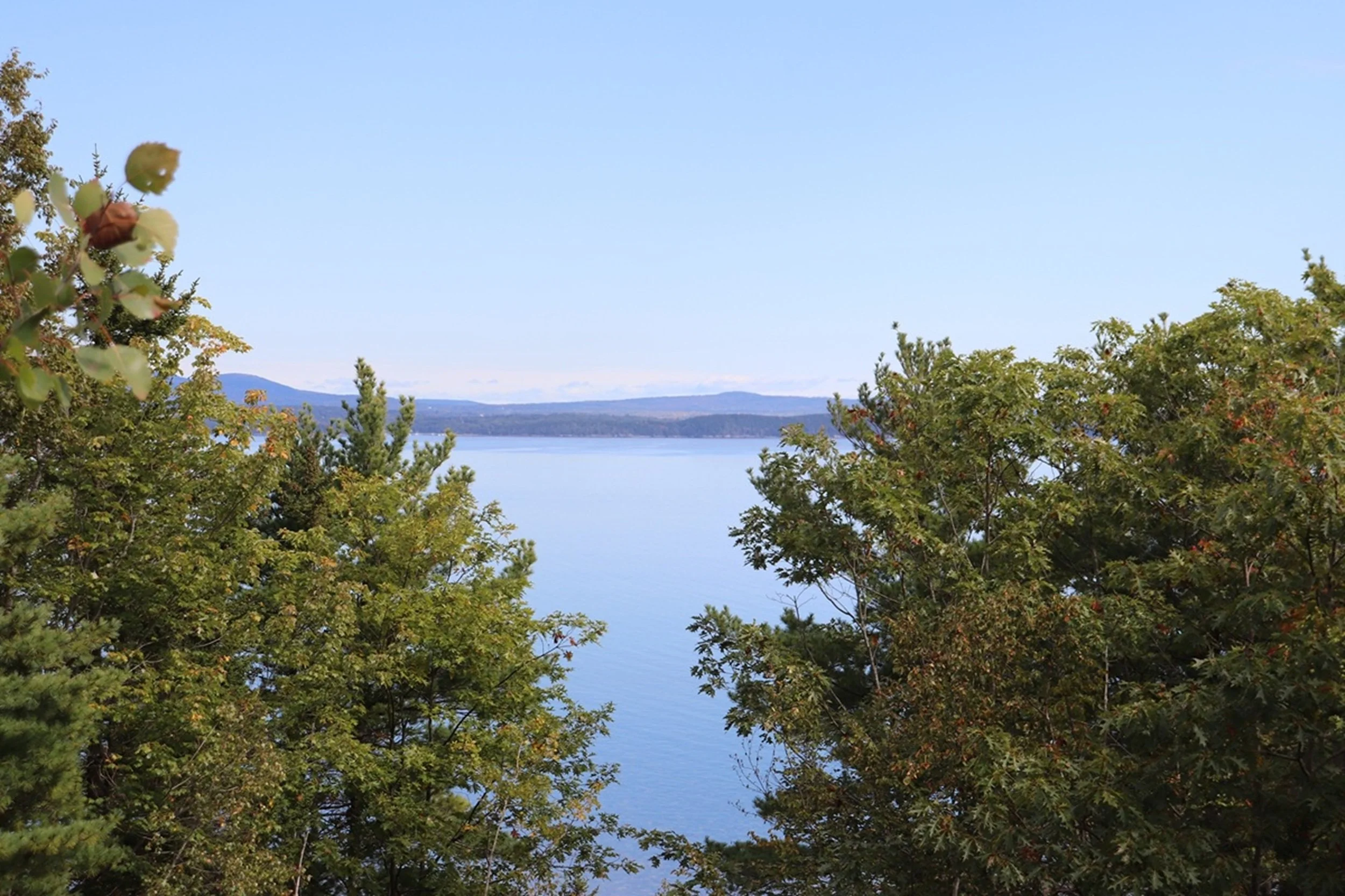 Blue Horizon - Coastal Maine Through Summer Green:  A tranquil expanse of blue water unfolds beyond a frame of summer foliage, creating a layered composition that evokes quiet discovery and escape. Ideal for guest rooms, spa retreats, and hospitality