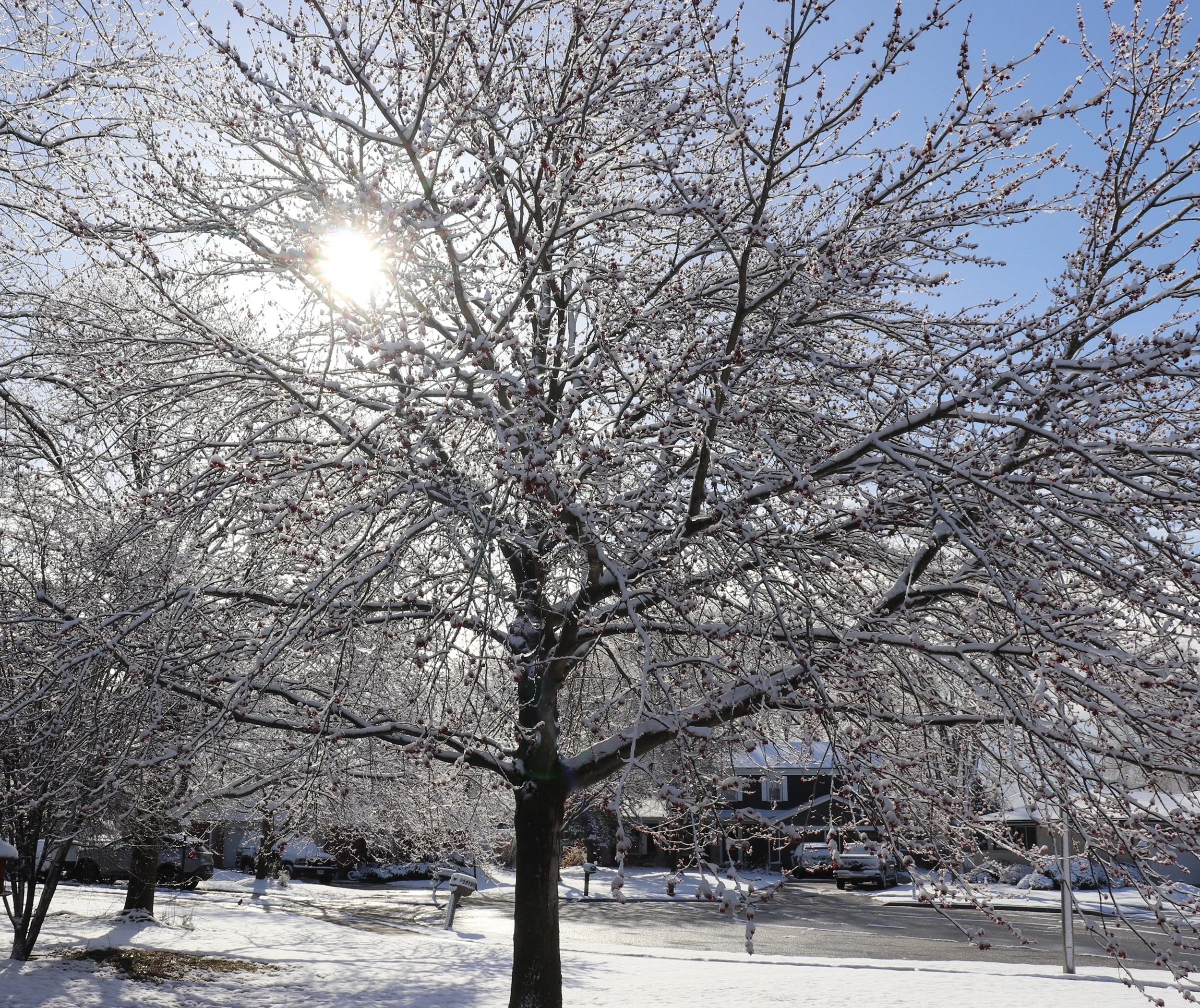 After the Storm.JPG