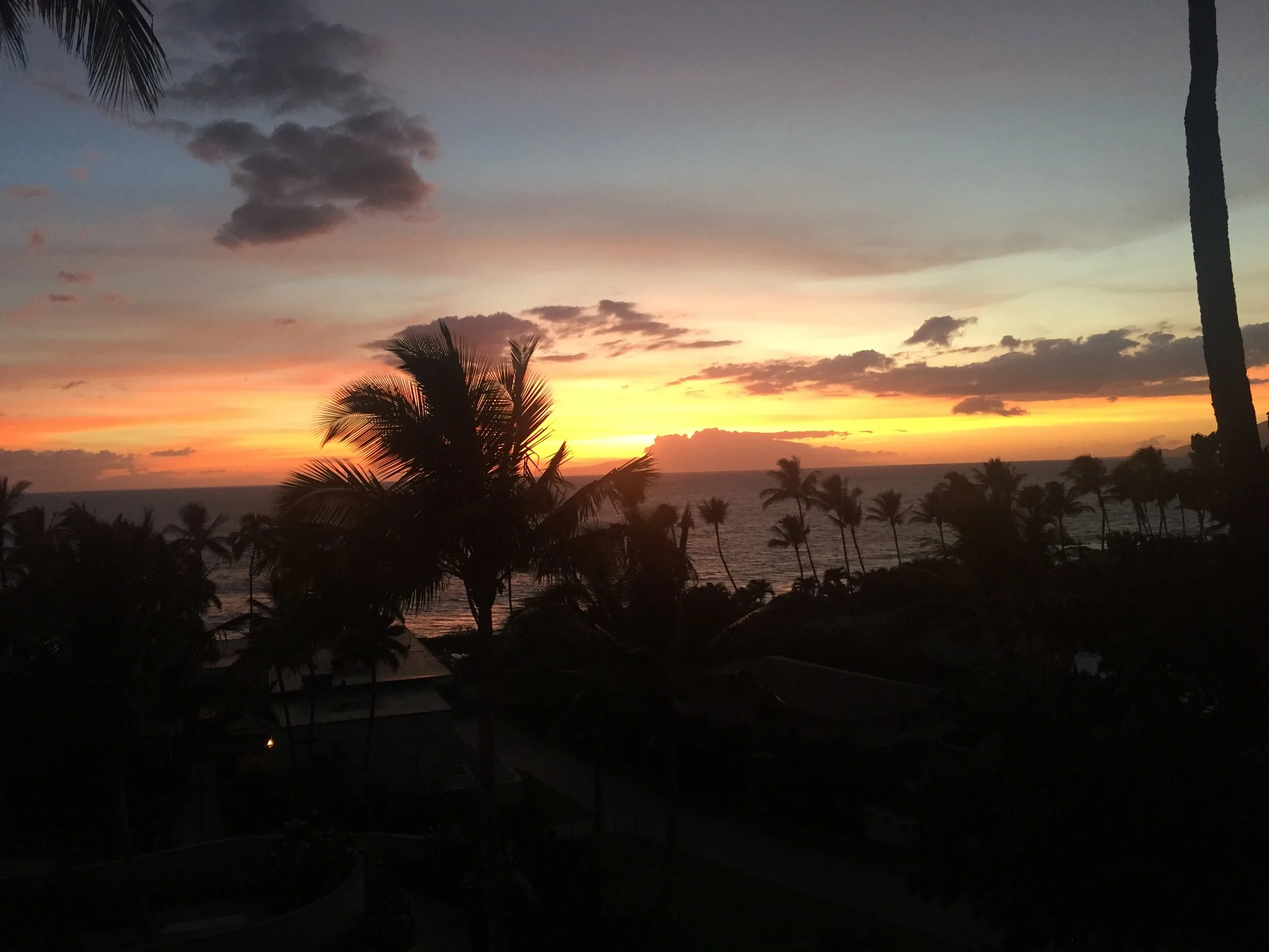 Tropical Sunset (Island Twilight): Soft tropical colors settle over the Pacific as silhouetted palms frame the final moments of daylight. Gentle layers of sky, ocean, and island landscape create a peaceful composition that invites quiet reflection an