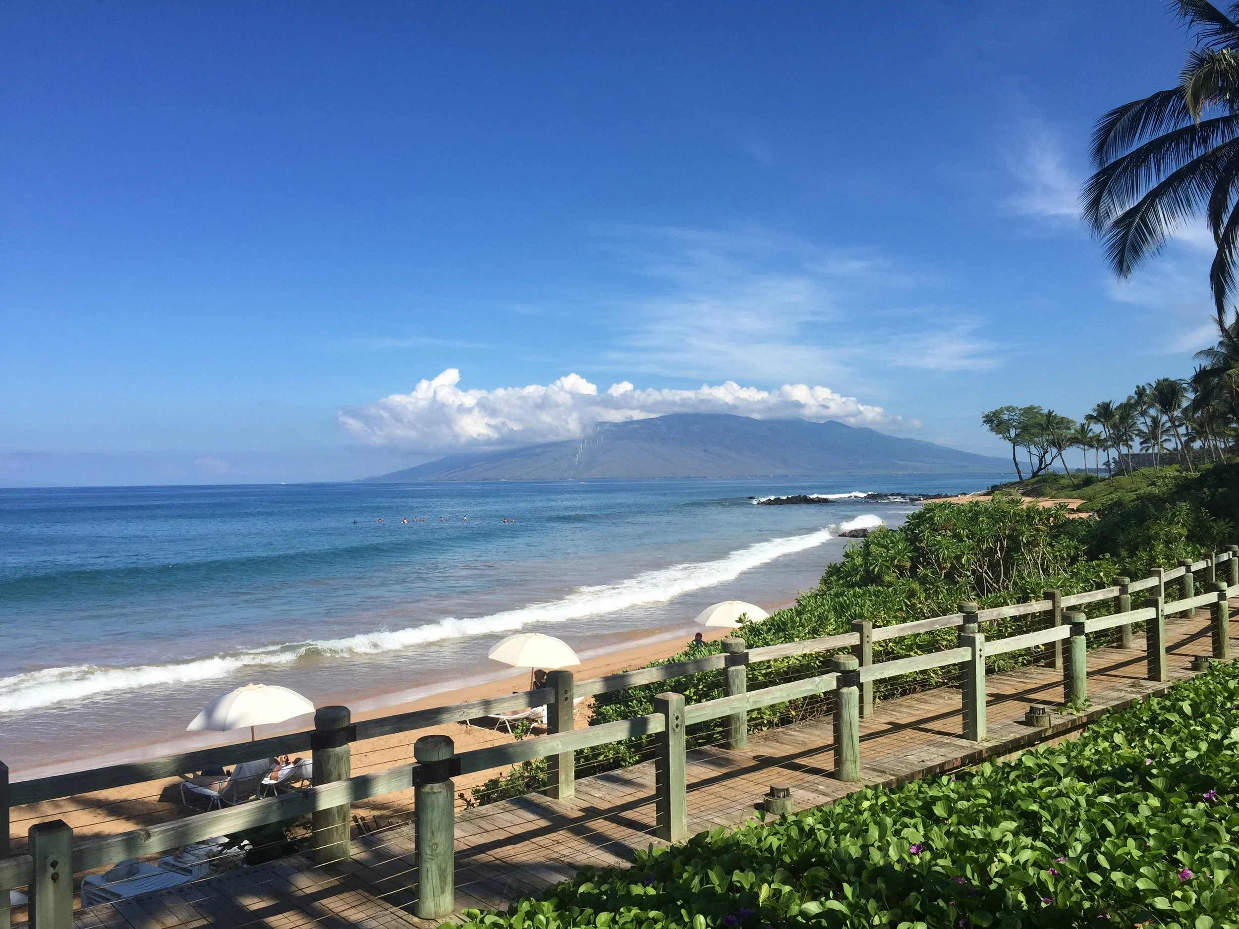 Pacific Outlook (Beach Walk & Mountain View): A scenic coastal promenade winds alongside tropical shoreline toward distant volcanic peaks, inviting guests to imagine an unhurried walk beside the sea. Rich greens, vibrant blues, and sweeping perspecti