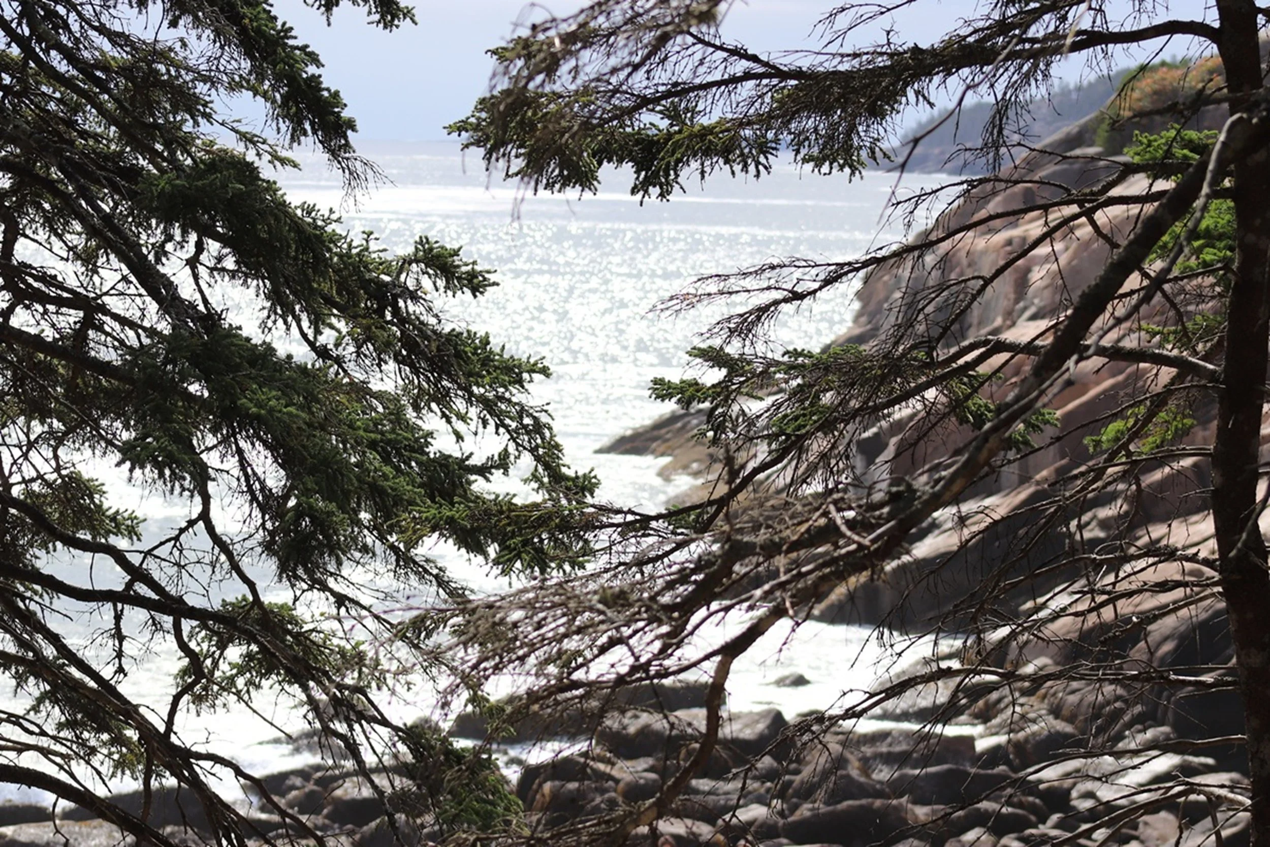 Light Through the Trees - Maine Granite and Sea

Sunlight flickers across the Atlantic, glimpsed through layered pine branches and rugged granite shoreline. Texture and depth create a dynamic coastal composition — organic, windswept, and distinctly N