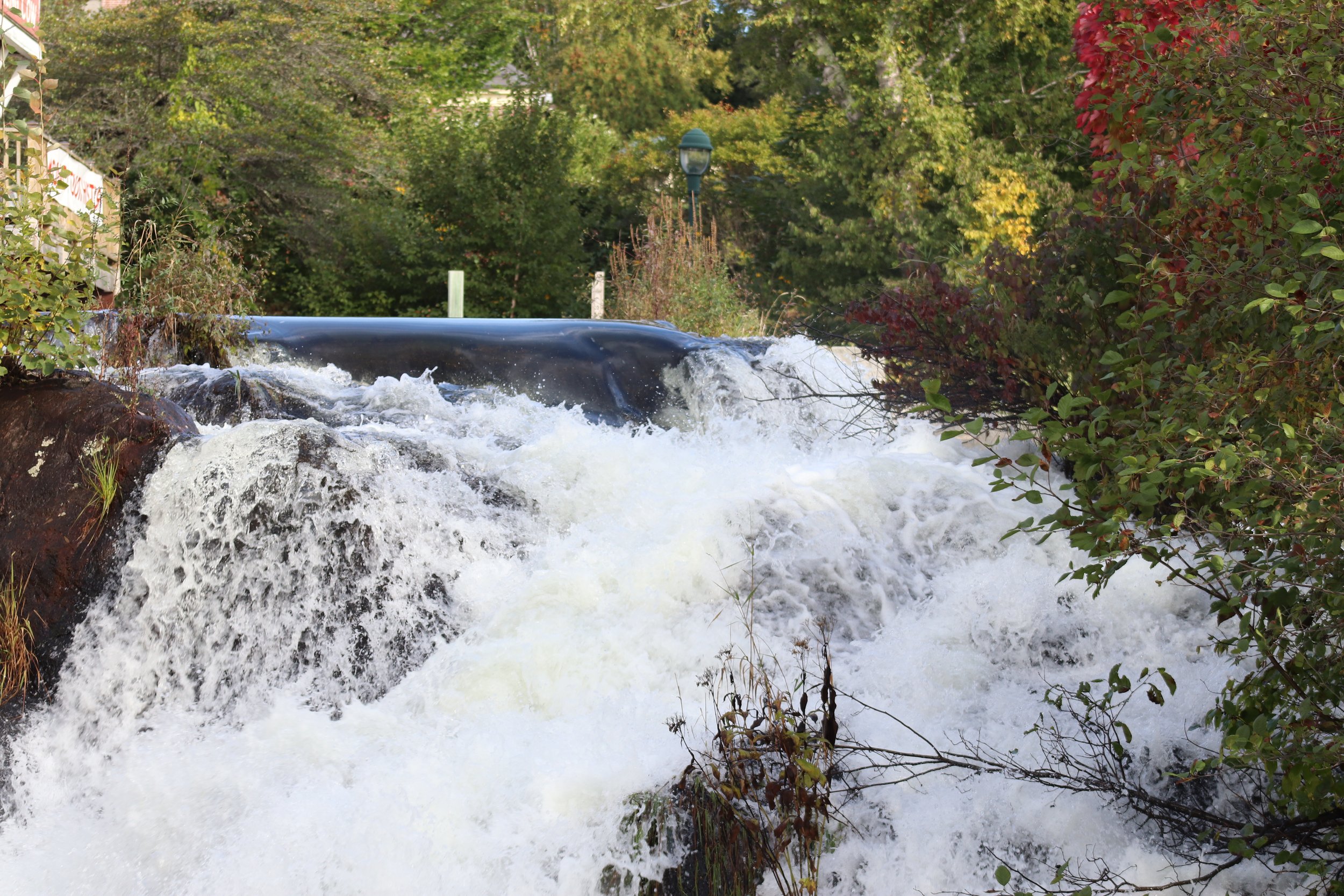 The Rush of Autumn: Powerful water surges over dark granite ledges, creating a dramatic contrast between rushing white water and the surrounding autumn landscape. Framed by late-season foliage, the scene captures nature's energy while remaining groun