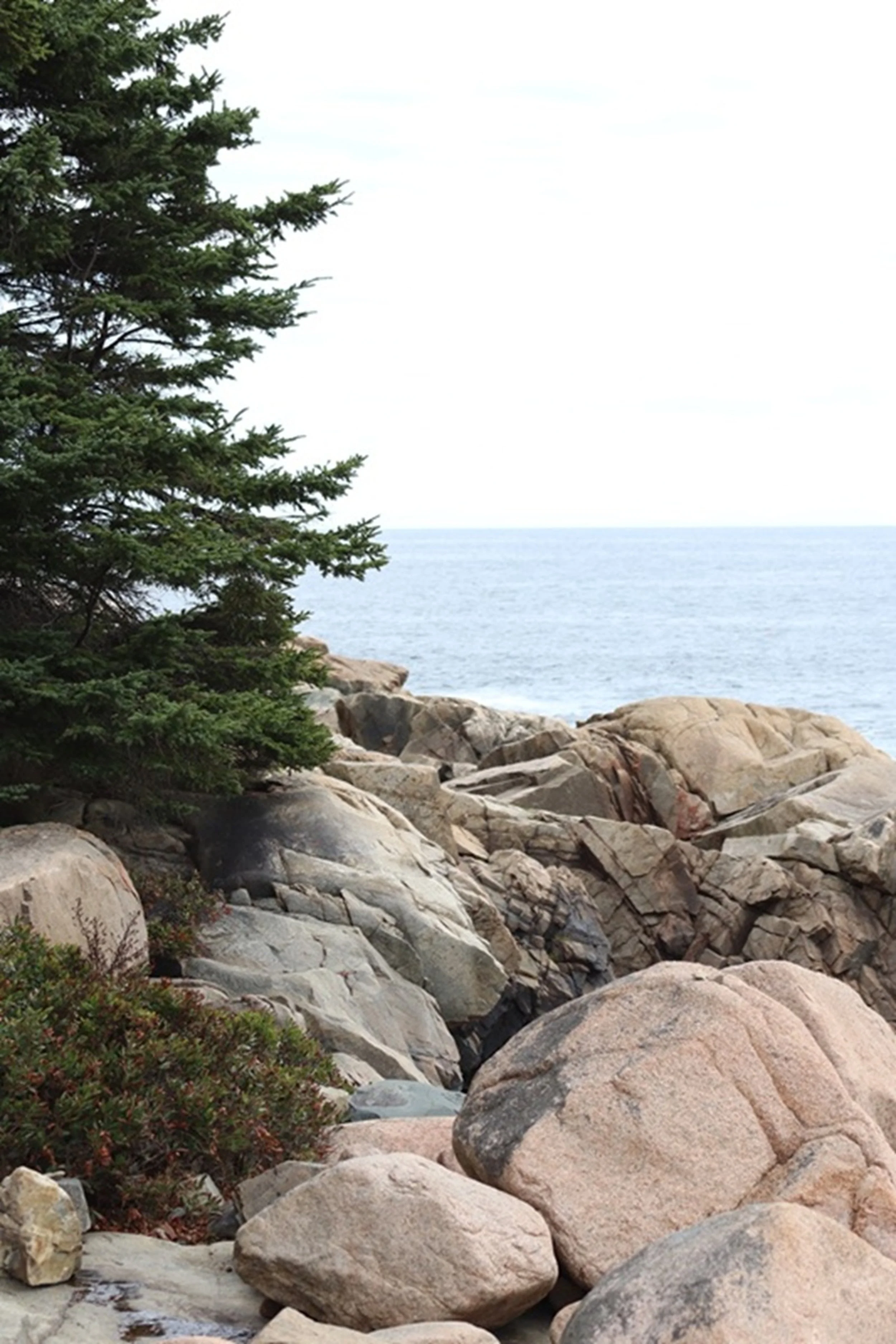 Stone and Spruce - Quiet Maine Inlet

Rounded granite boulders gather along a sheltered inlet beneath evergreen forest. The composition feels grounded and elemental — earth, water, and tree in balanced harmony.

Best Hospitality Placement:

Guest sui