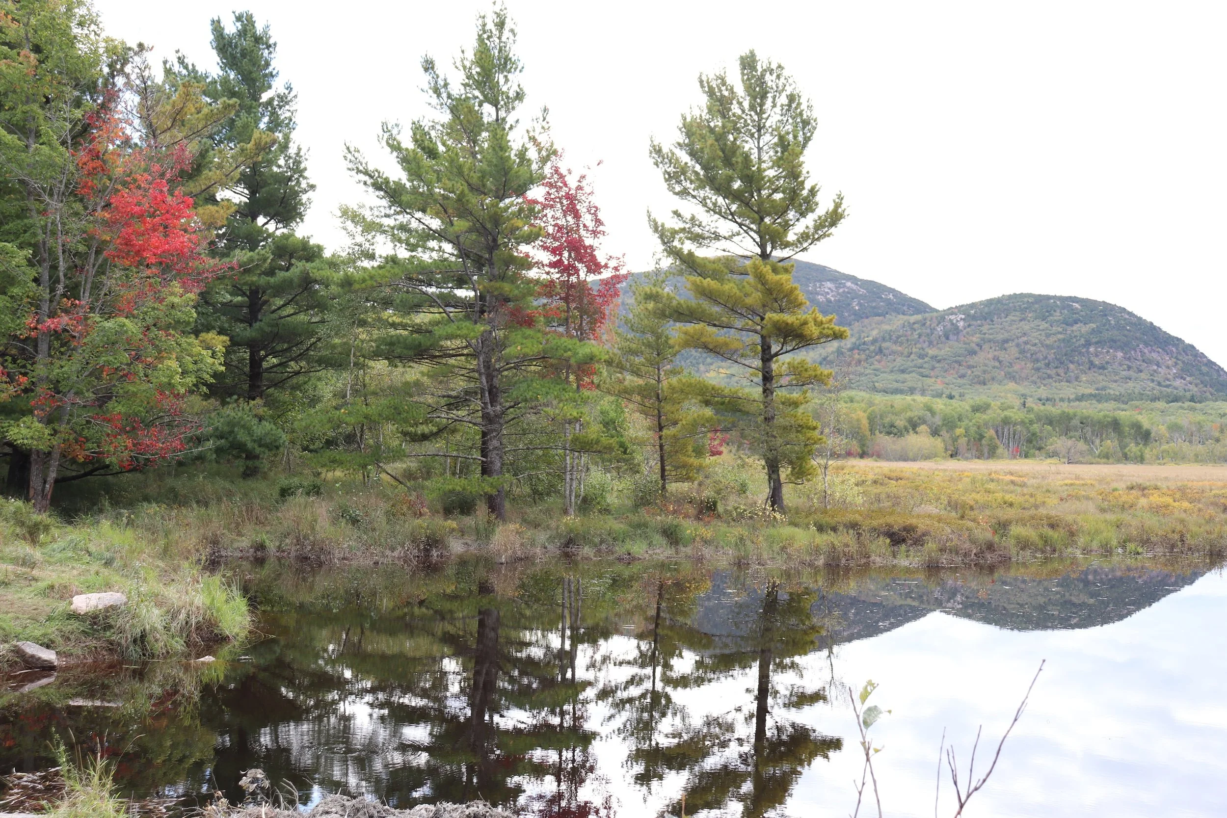 Autumn Colors Reflecting Across a Quiet Lake

A vibrant line of autumn foliage reflects across the still surface of a quiet lake, creating a painterly mirror of seasonal color and forest texture.

Suggested Hospitality Use:

Guest room feature walls
