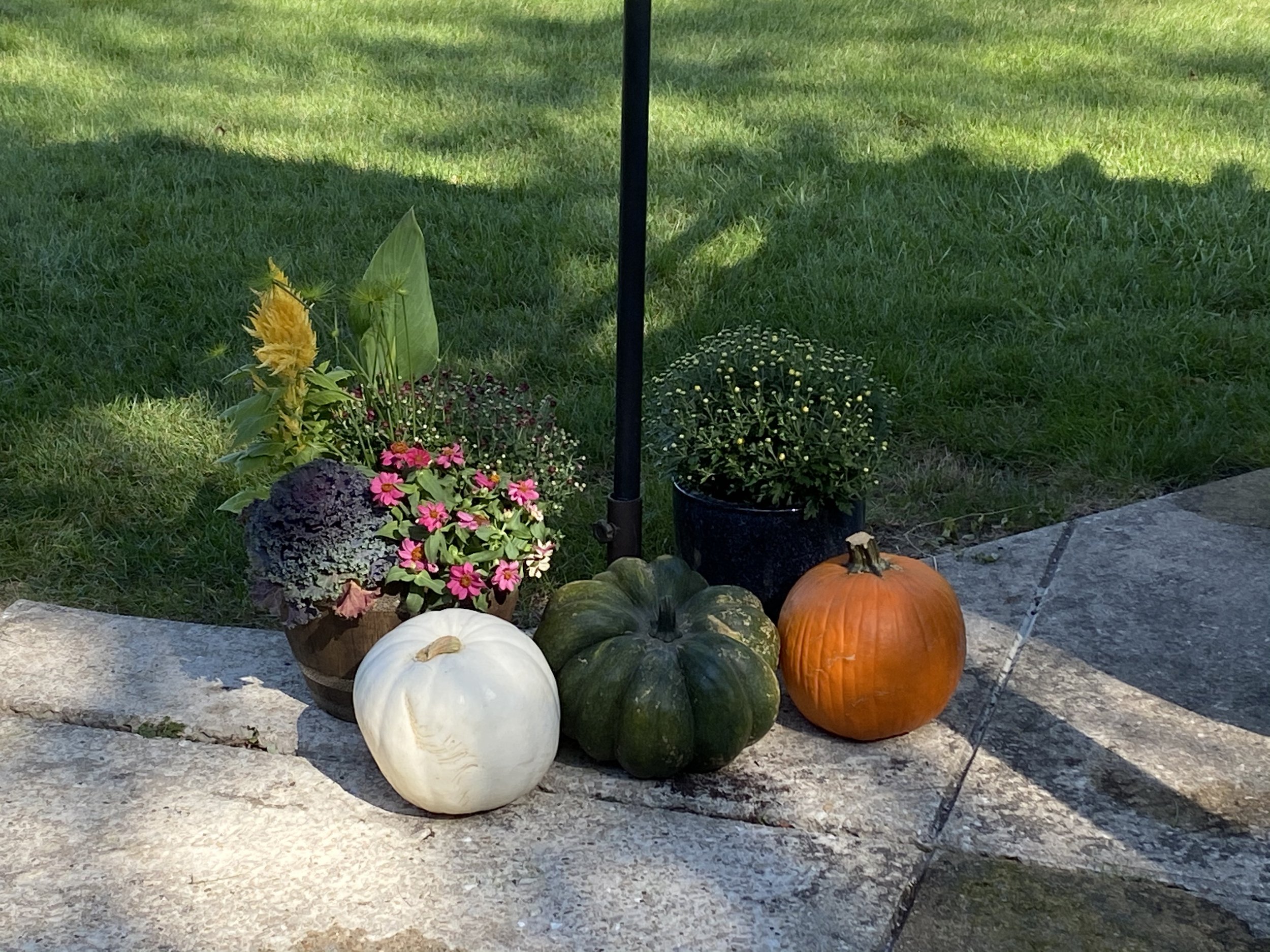 Harvest Welcome: A simple arrangement of seasonal flowers, heirloom pumpkins, and autumn textures celebrates the warmth and generosity of the harvest season. Harvest Welcome captures the spirit of gathering, hospitality, and home, where thoughtful de