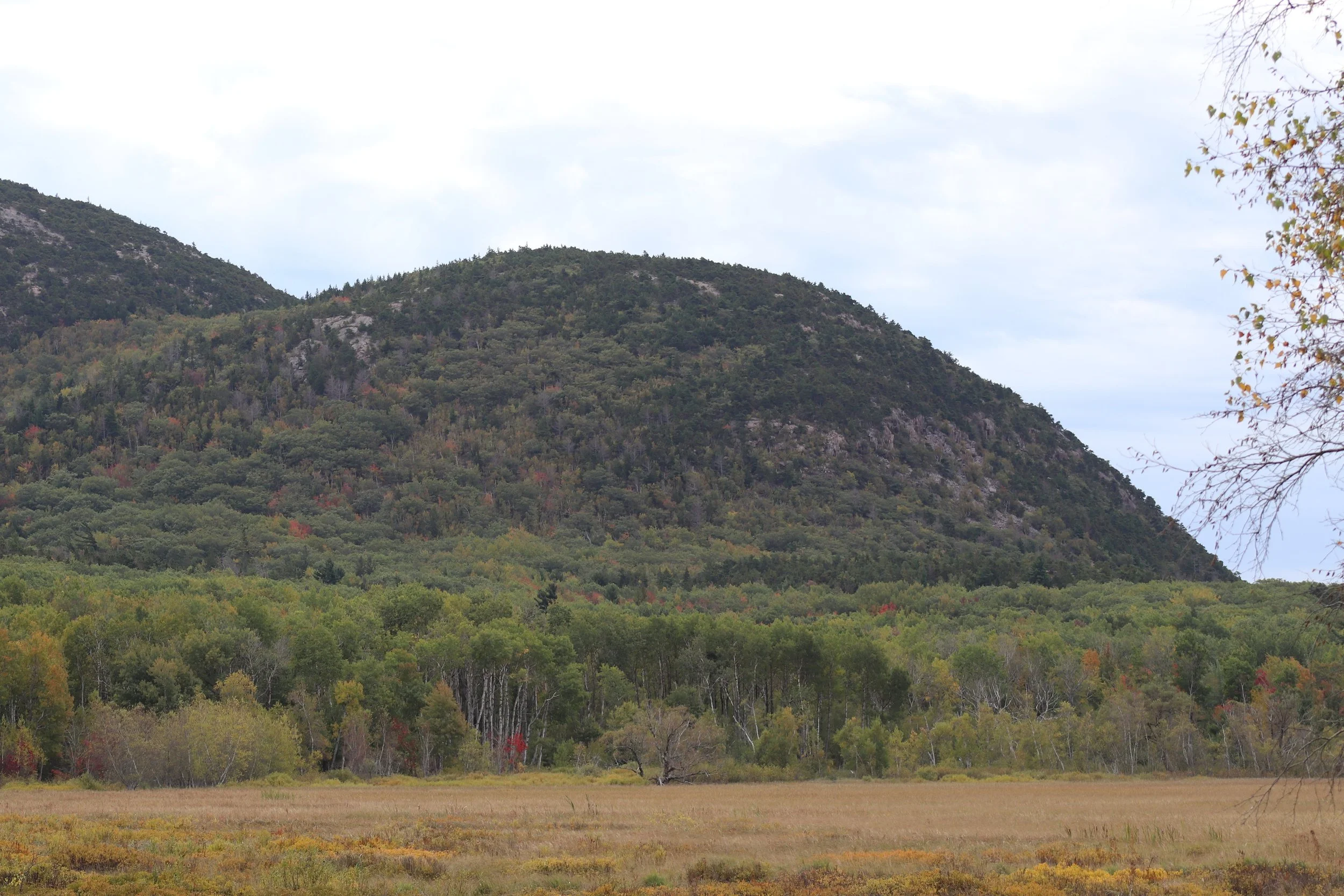 Early Autumn Meadow Beneath Forested Mountain

Golden meadow grasses stretch across a quiet valley as a forested mountain rises in the background, where subtle autumn colors begin to appear across the northern woods.

Suggested Hospitality Use:

Larg